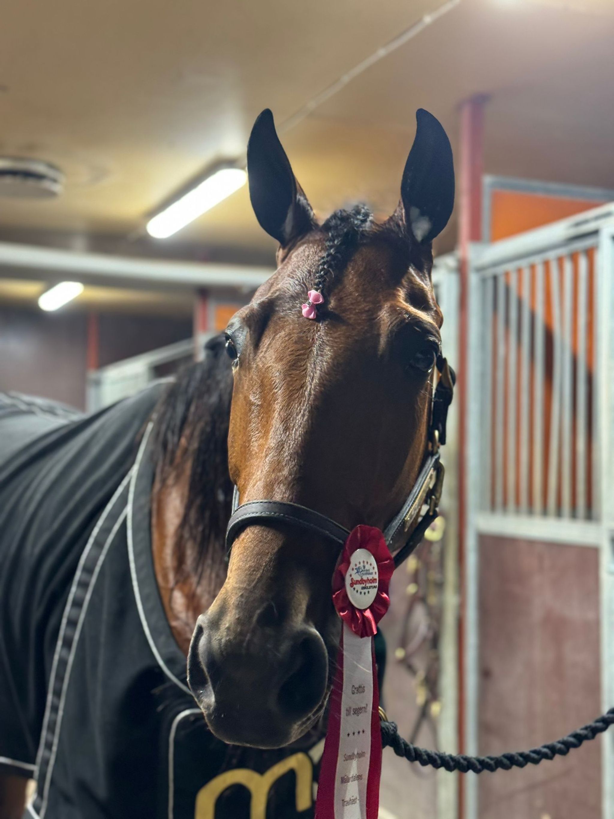 BB478159-F7DE-4FC6-9814-39445F8B9428