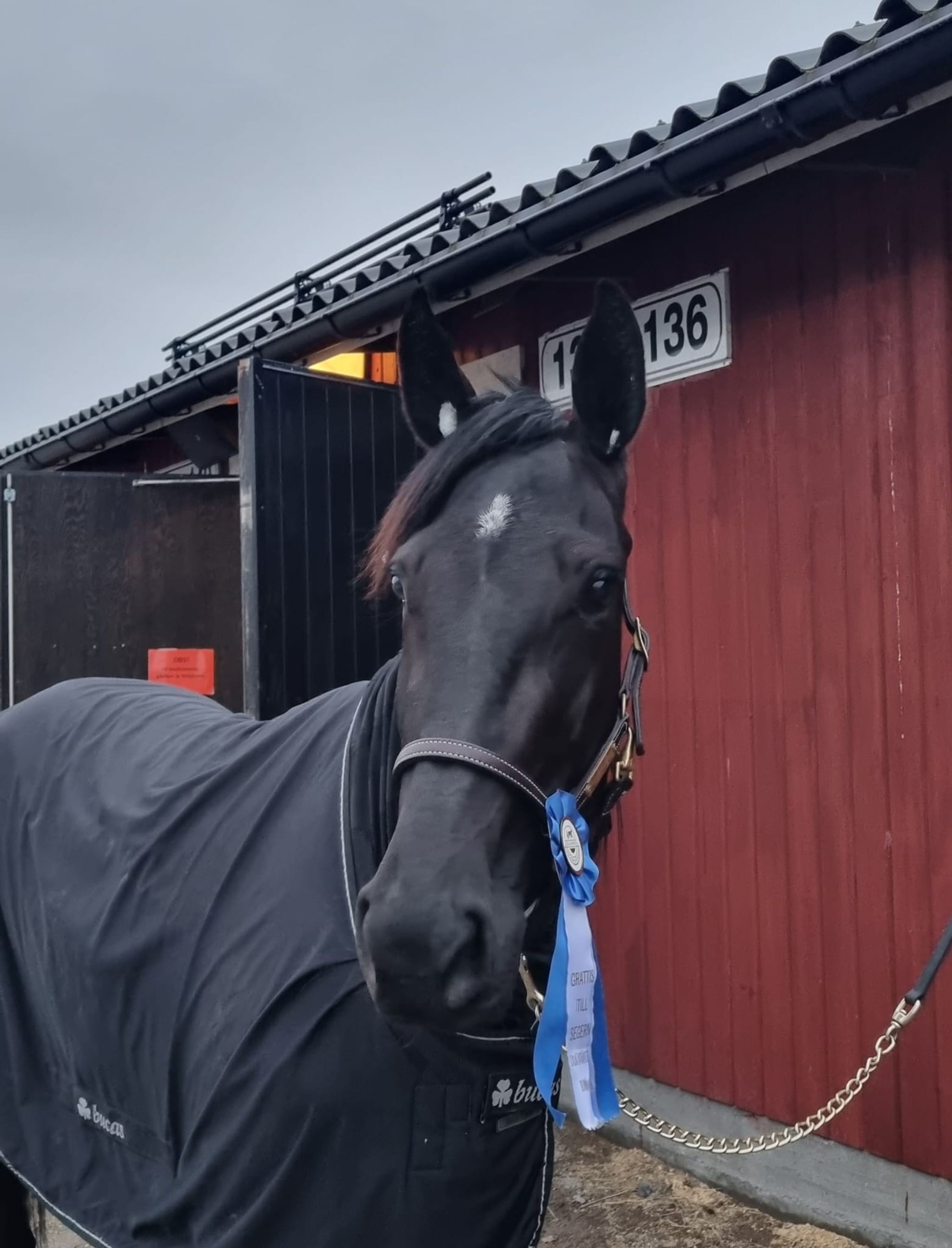 967D1D6A-570E-46D1-84B9-E89F088419F5