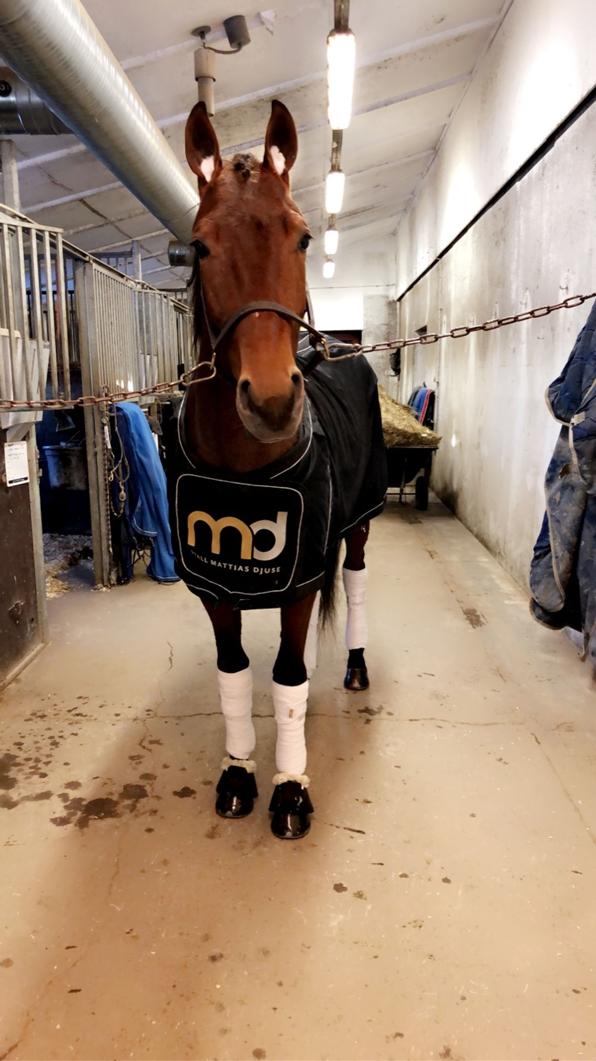 D2CAEF2E-92F9-4A63-8D56-628311316BFE