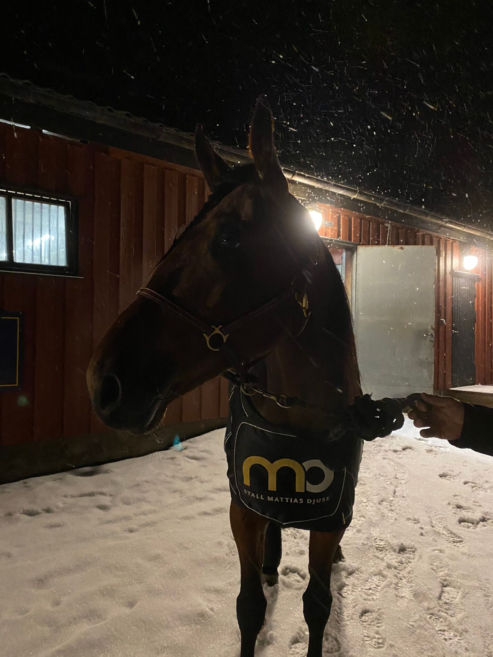 AB133E3B-E12D-45CC-A9D1-209E1DCE8CCD