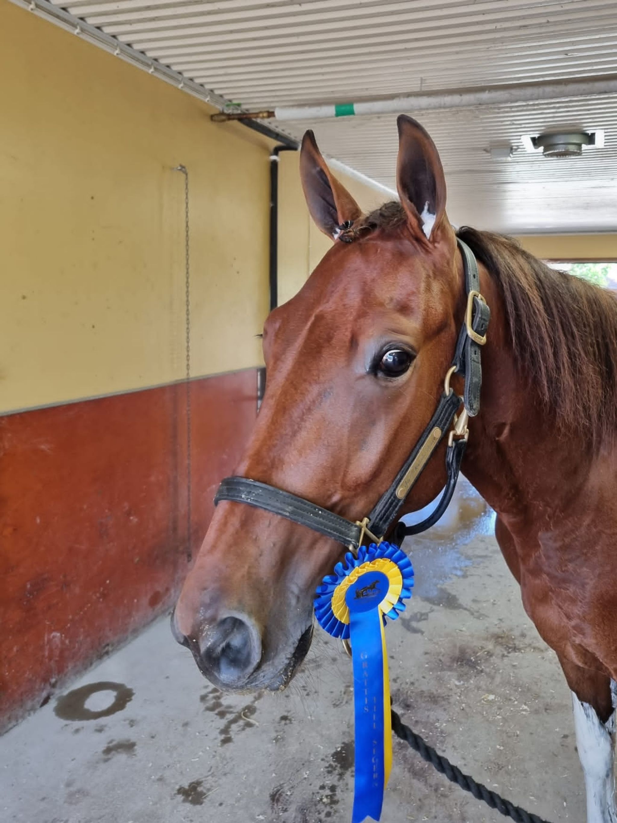 5B089EF2-20E3-4F3E-94BE-1C3BB282AC33