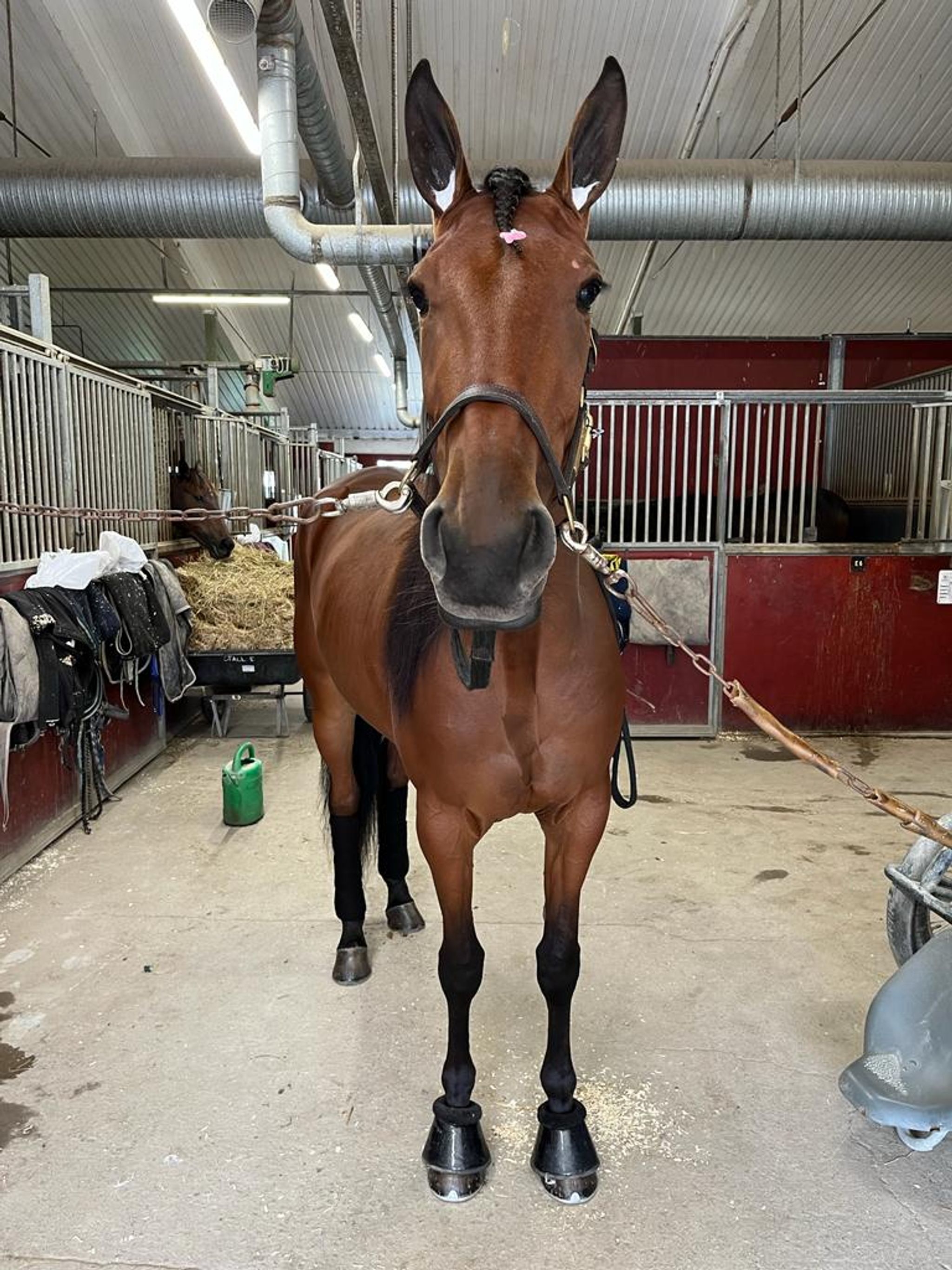 EFA34520-C3E9-460A-8204-F7F95B93B4C0