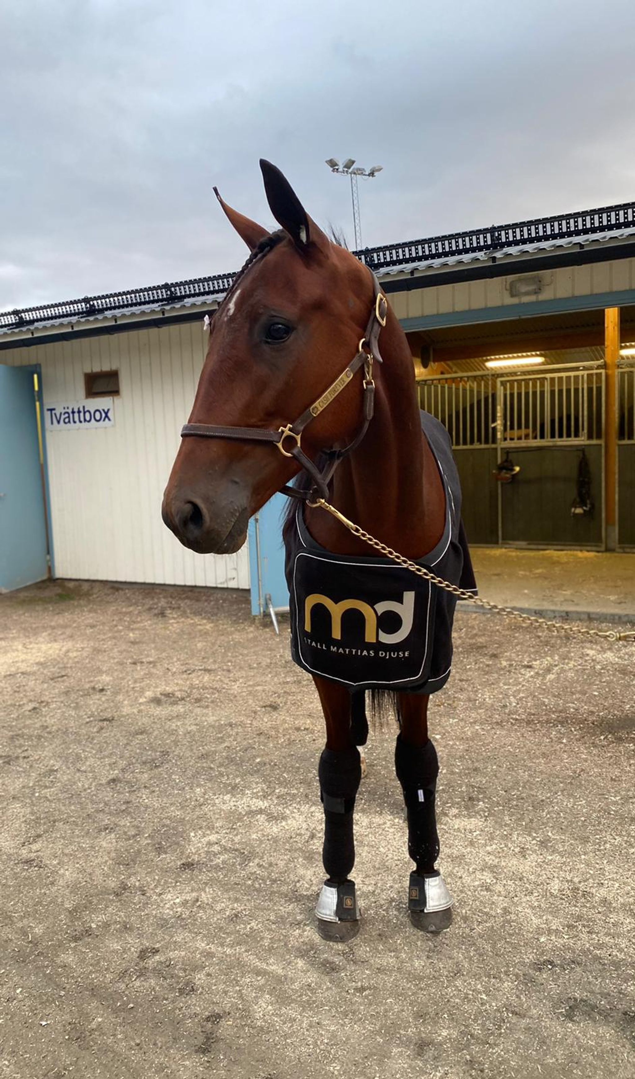 FF380B82-325A-47D5-B851-542ECD0A475A