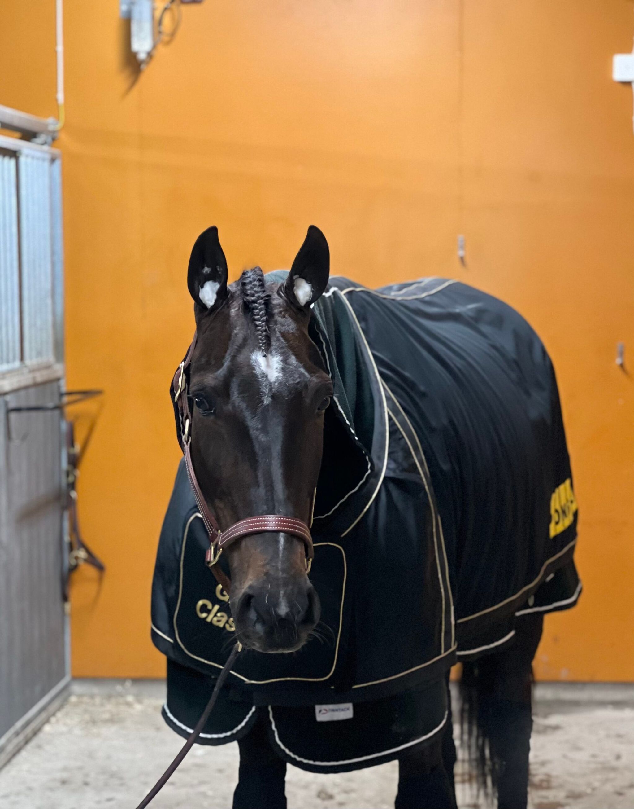 1423B308-F12E-474C-947A-11D6D7886FF5