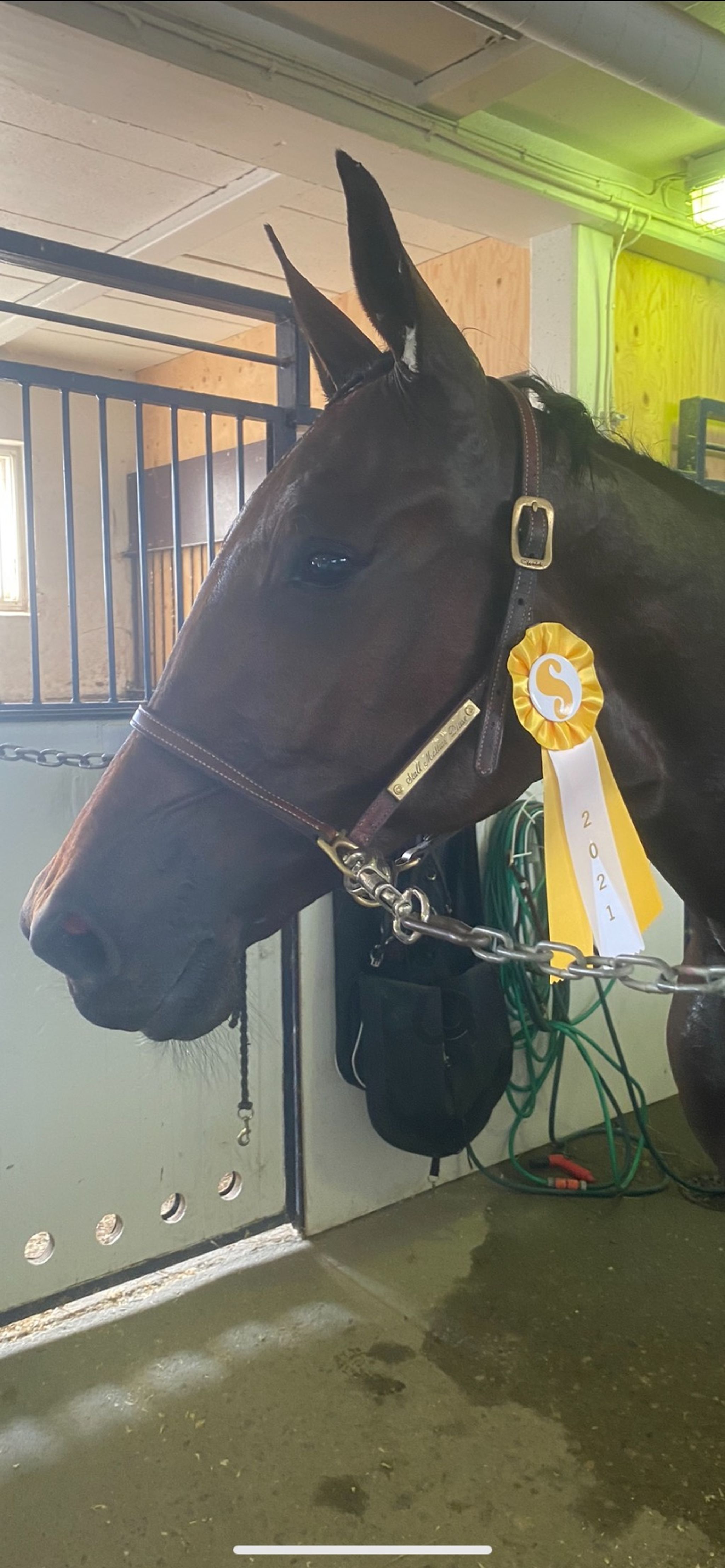 450F8176-F0D8-4825-8BAB-8CE51595461F