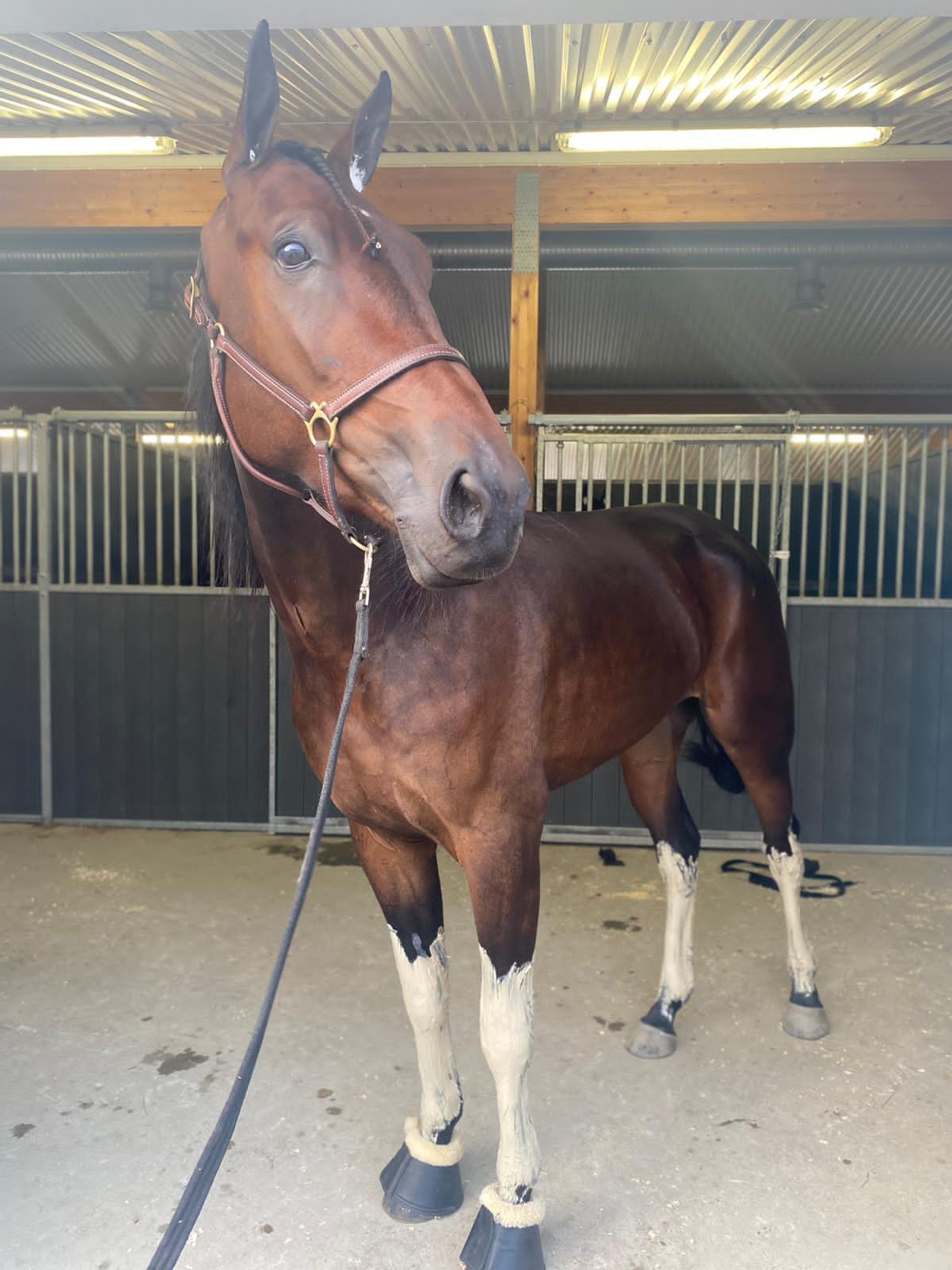 FDF76ECD-7DCE-4613-BF79-42BA049650E9