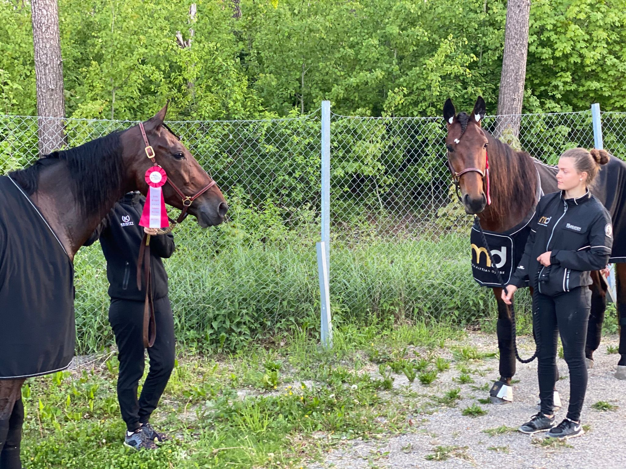 78172395-D4C4-44B1-A45B-860BB78C7423