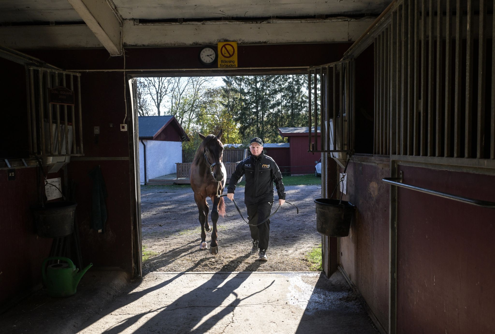 Mattias Djuse med häst på Hårby Gård