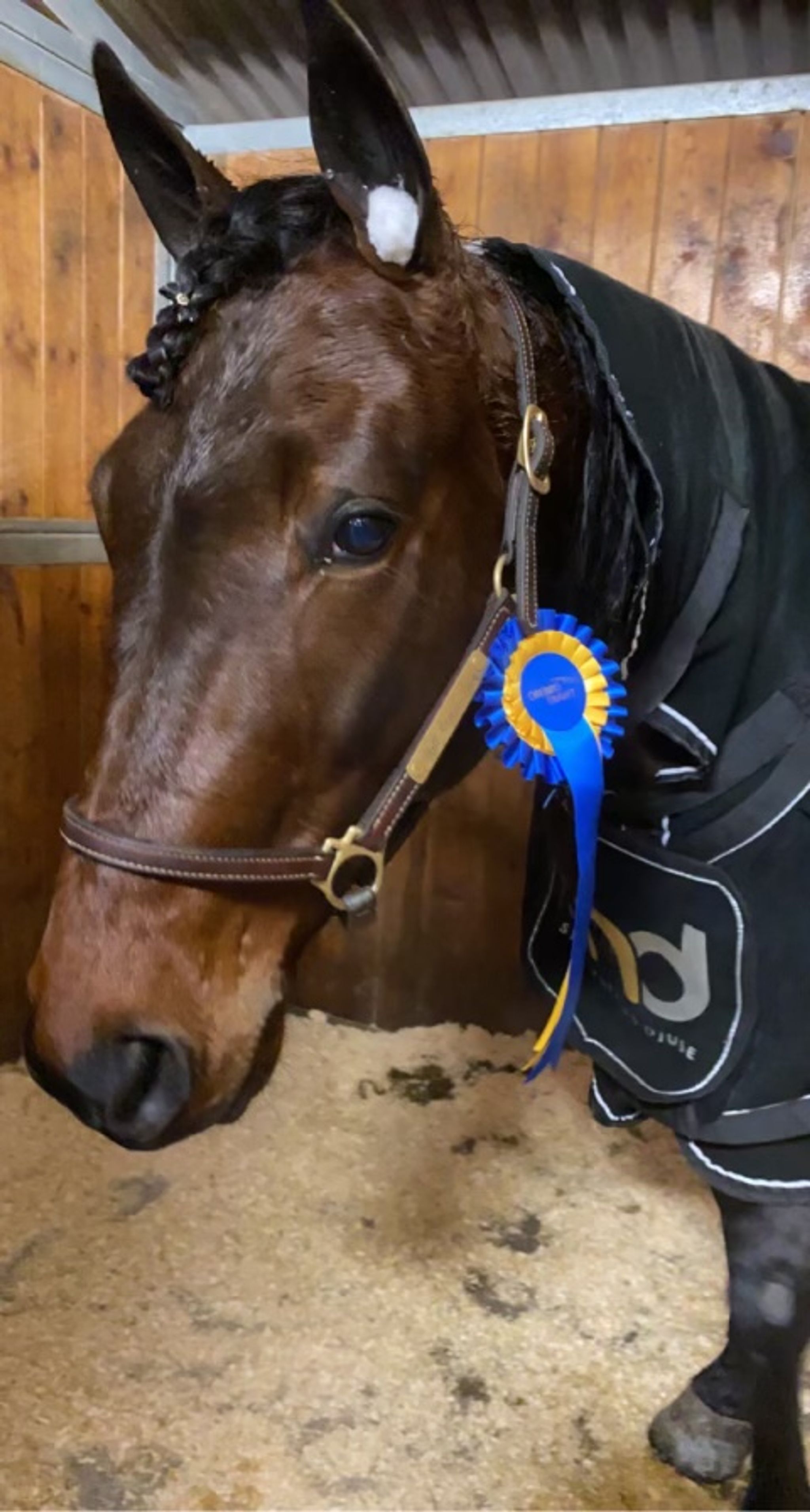 65D4FB1C-D1EF-442E-A2BE-CEE6D4ED26E5