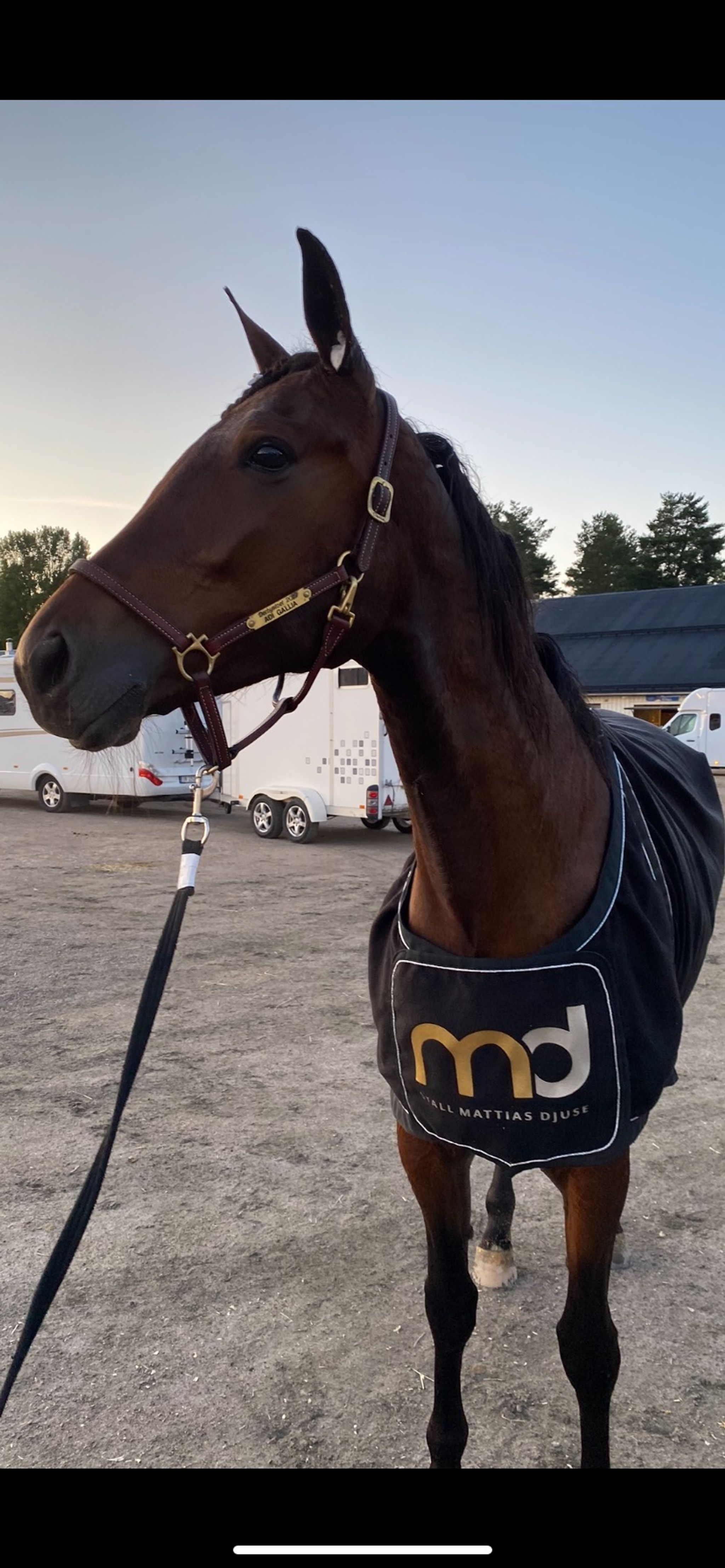 43B07E73-34D3-4B98-8E15-9E582FE2A89A