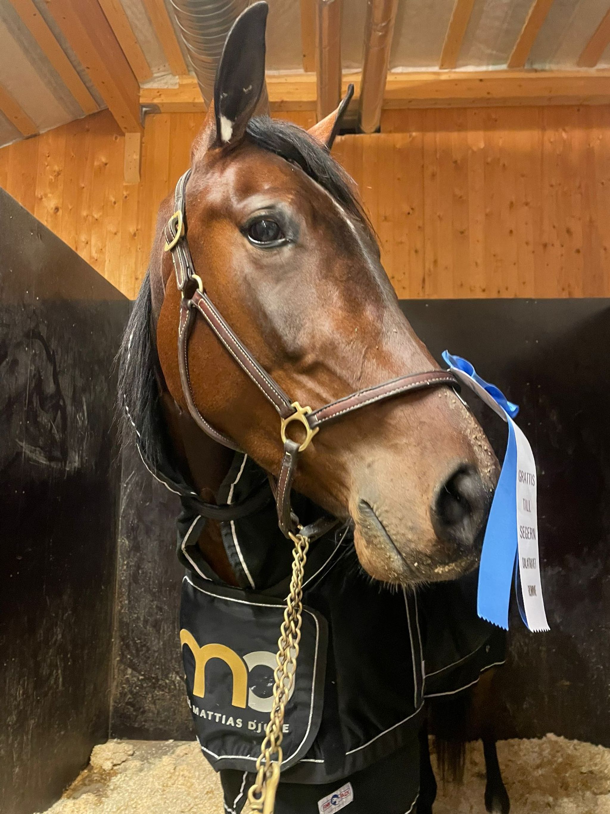 76AF4329-AA0B-4747-A367-C702B489919F