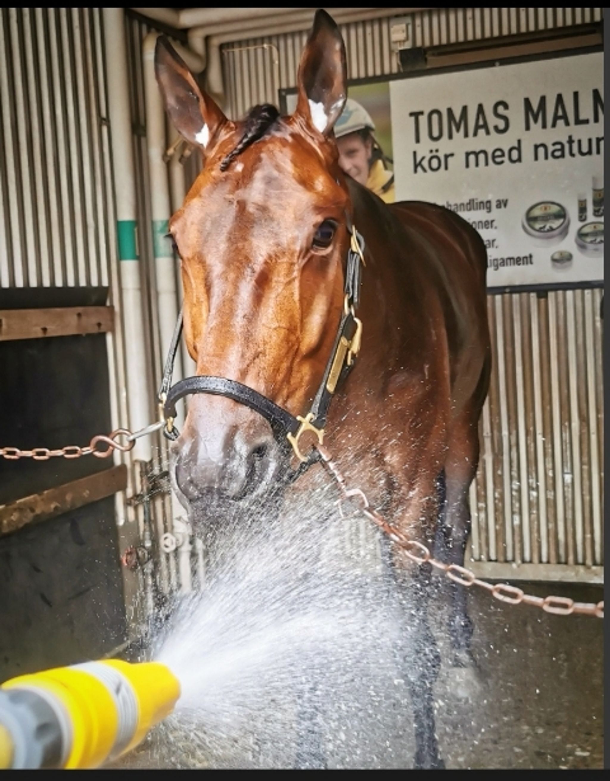 3064A817-697B-4EAE-AD9C-F3ED600A60AD