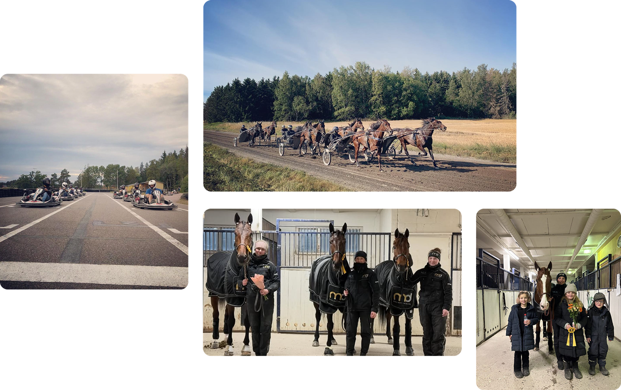 Vill du också ha världens roligaste jobb? 🐴