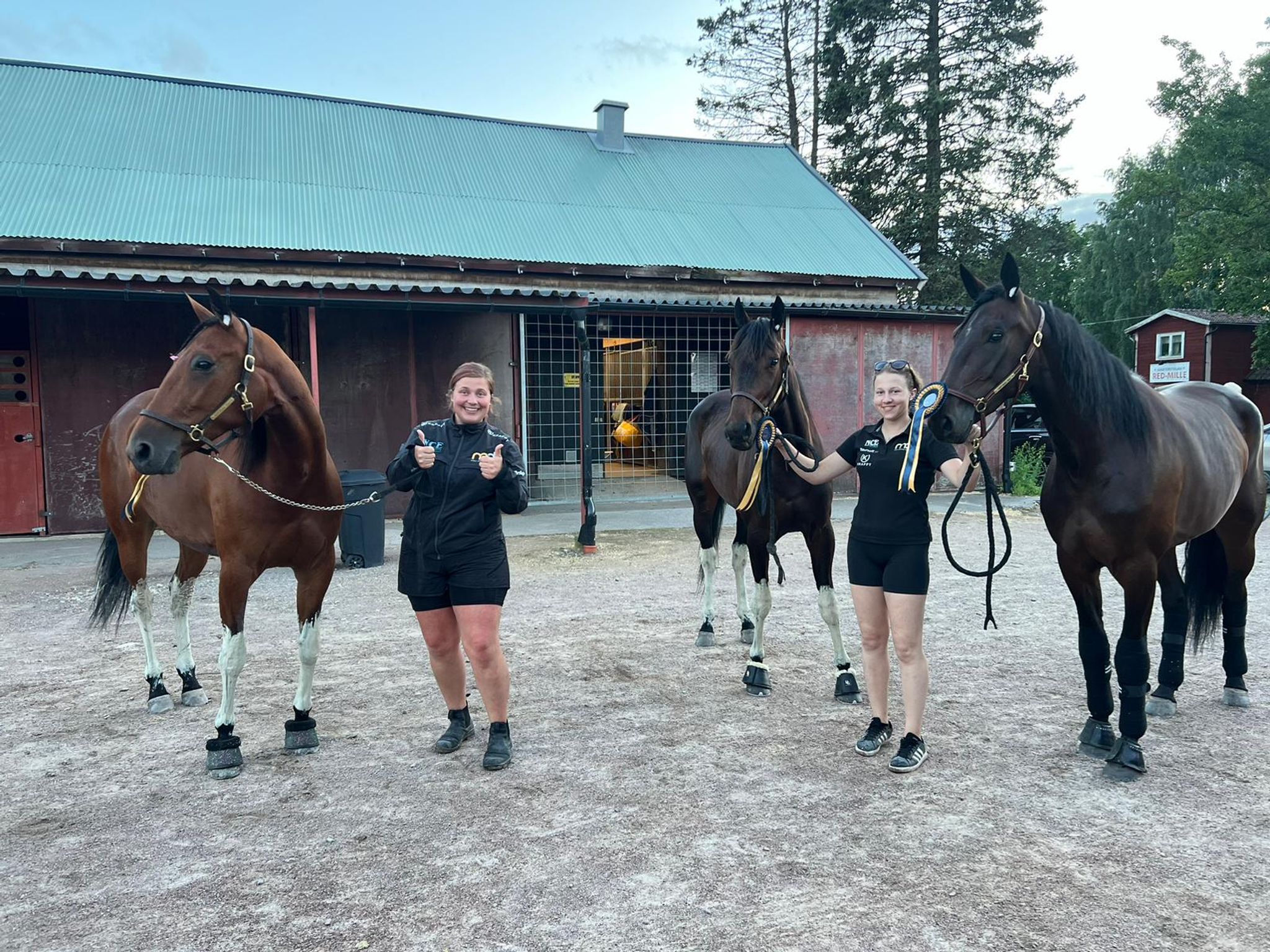 BA0D3218-ACA4-42E1-94FB-ECCE2158FDB2