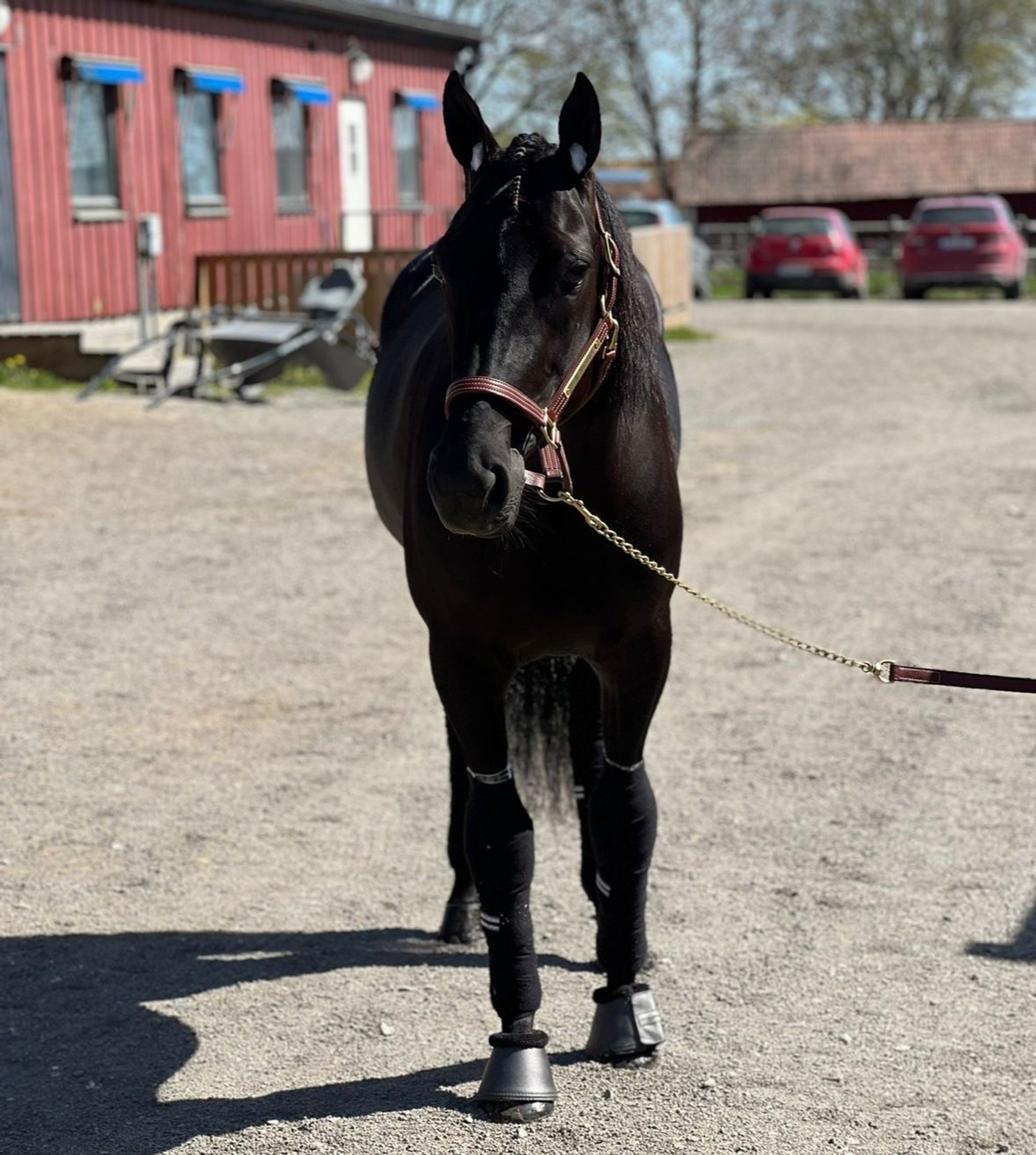 c93cc934-ca56-4d95-aae5-3b6fc0bdf881