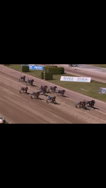 HATTRICK på Solvalla lunchtrav idag & flera pallplatser 🥇🥇🥇🥇 Hästarna är grymma & teamet med 😍 Dagens vinnare: Emerald Broline ⭐️ Pacman Newport ⭐️. Great Pulsion ⭐️. Set It Off H.C ⭐️