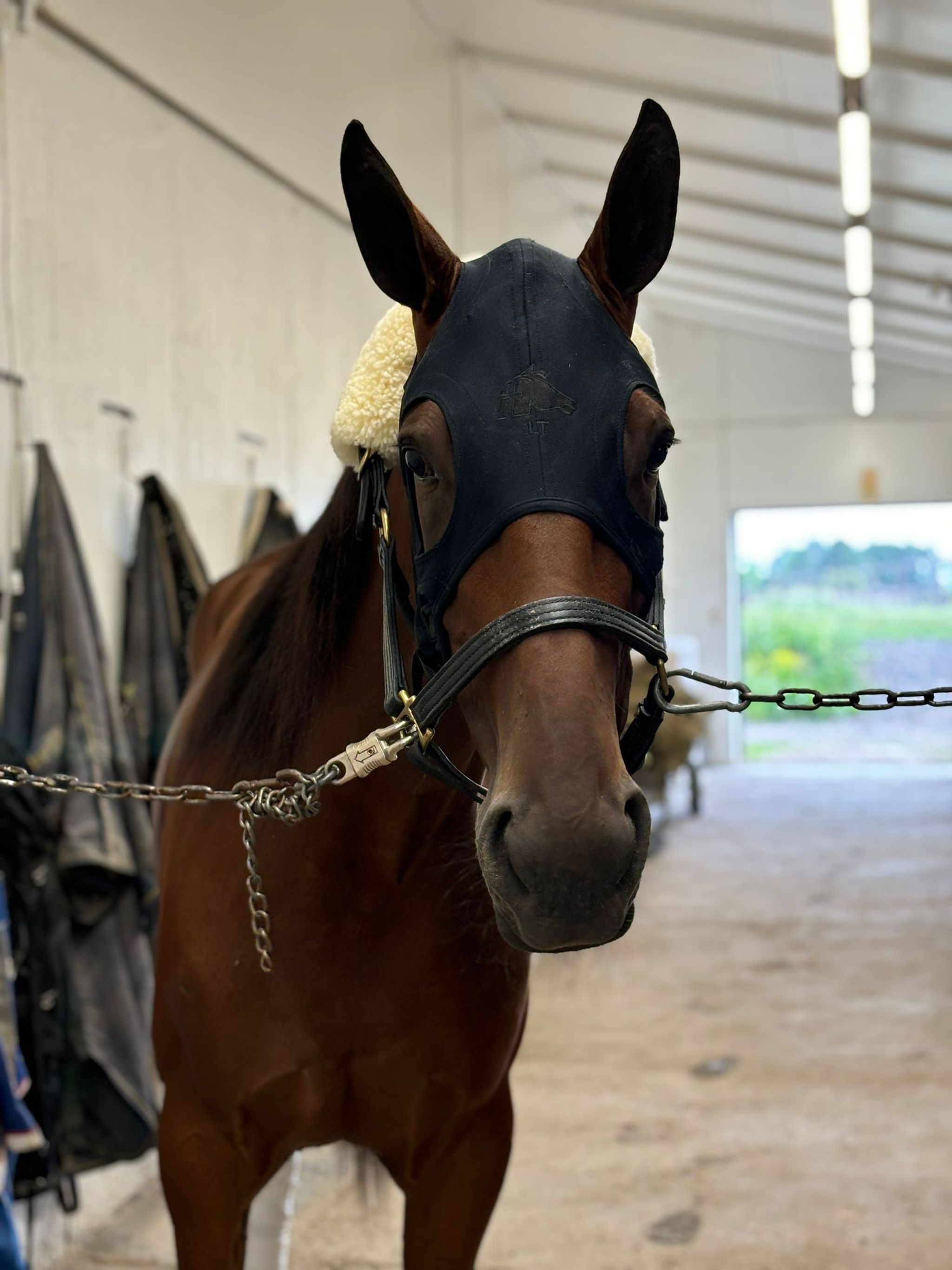 C473C4D5-6F83-4856-91DF-A012FC9EE047