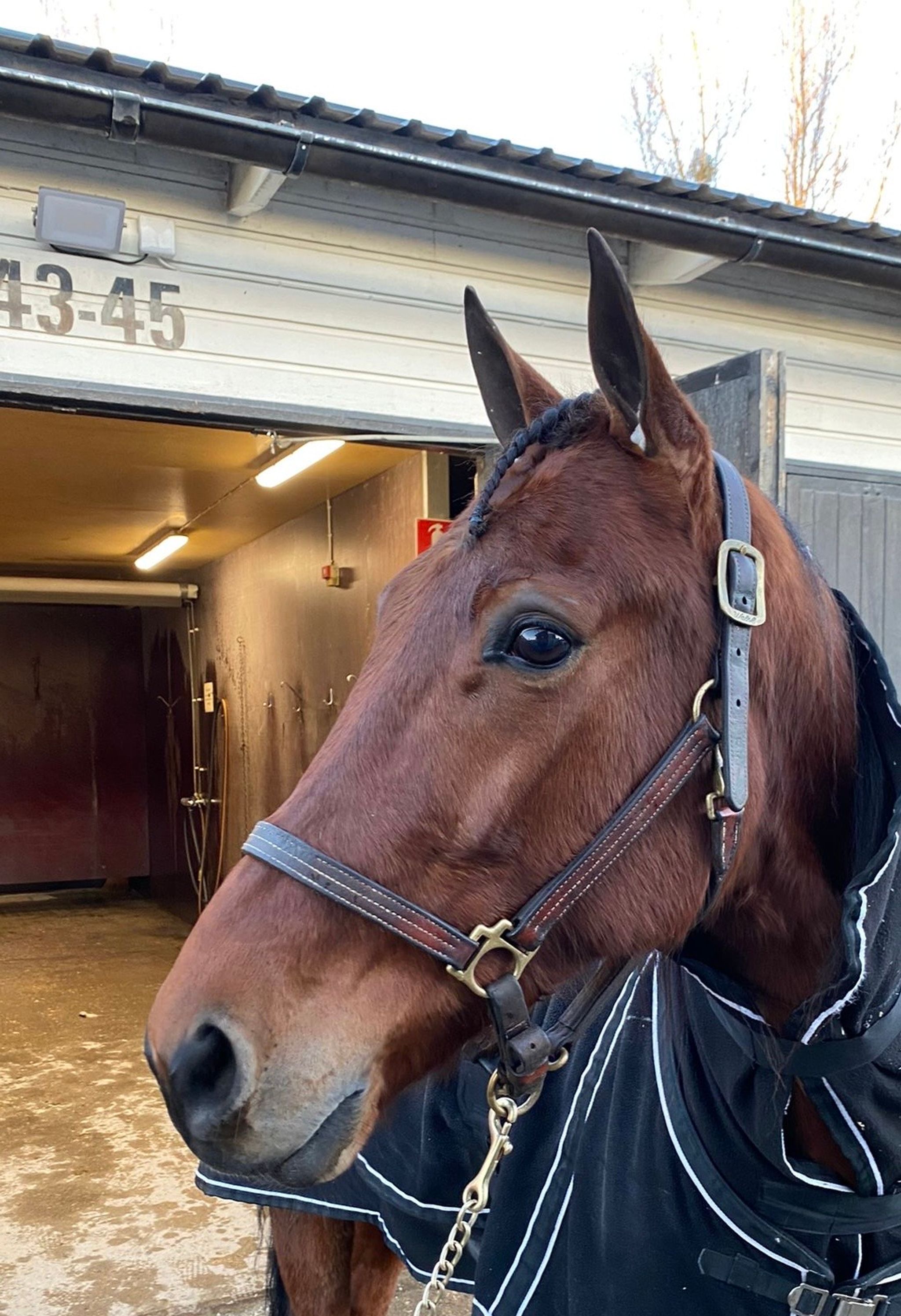 a89168b4-3868-4e05-9924-1ce98d8497b3