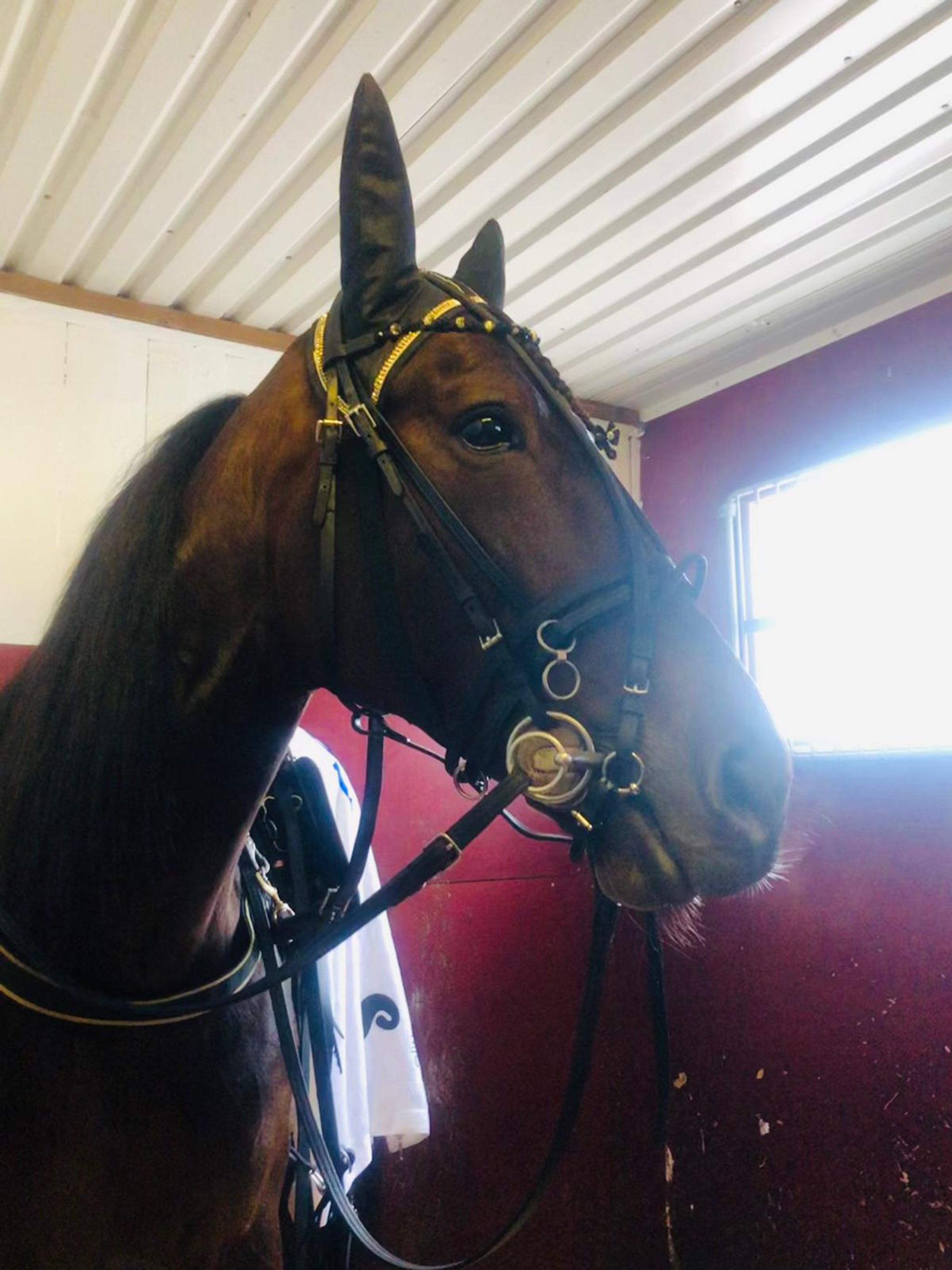 19C675FF-2594-4267-BCE7-E1C4FE95398A