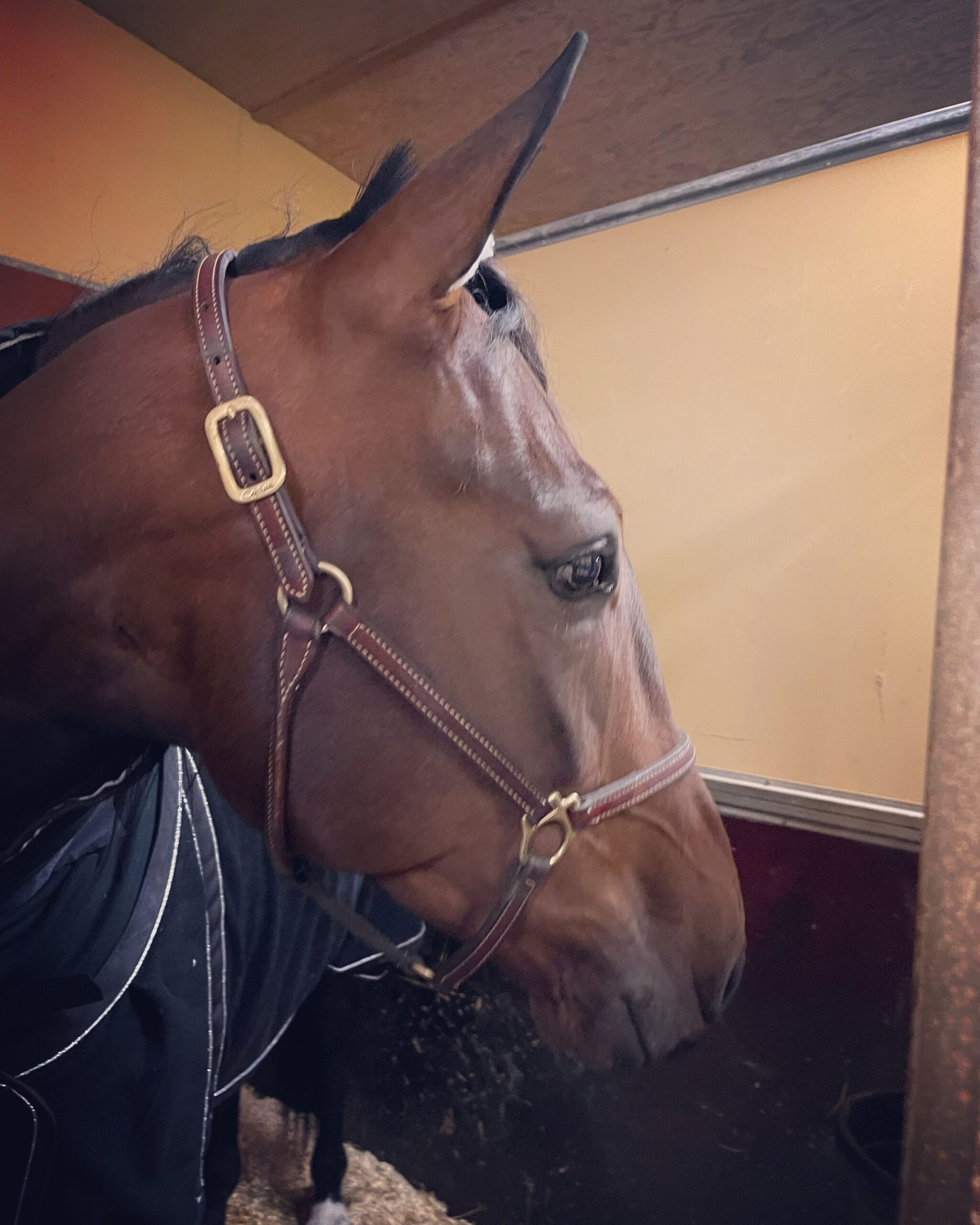 315A3052-595E-47E4-B1EE-B3A602C8178E