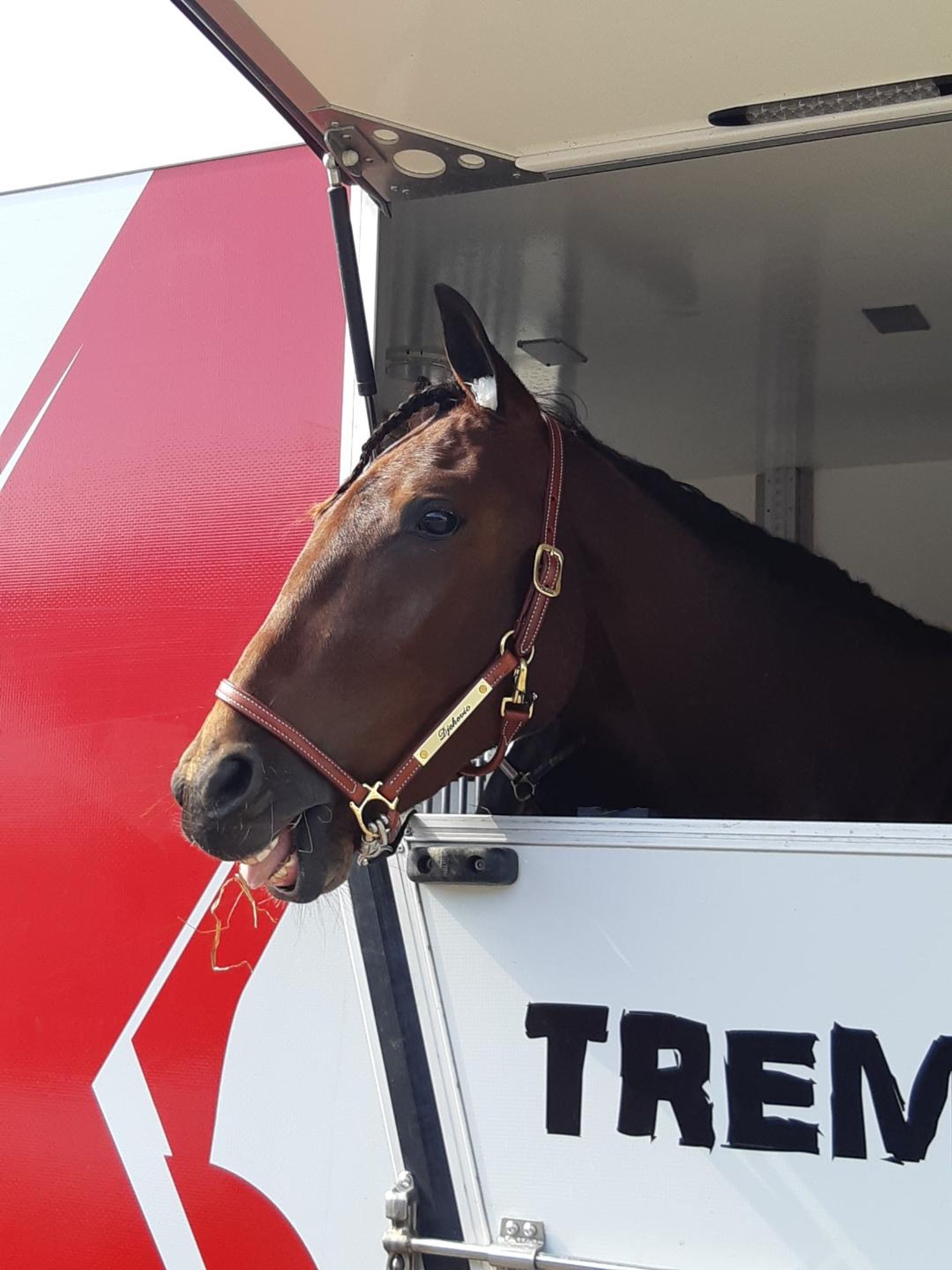 cceedfe2-dcba-4c66-81a3-cd0248a258e5