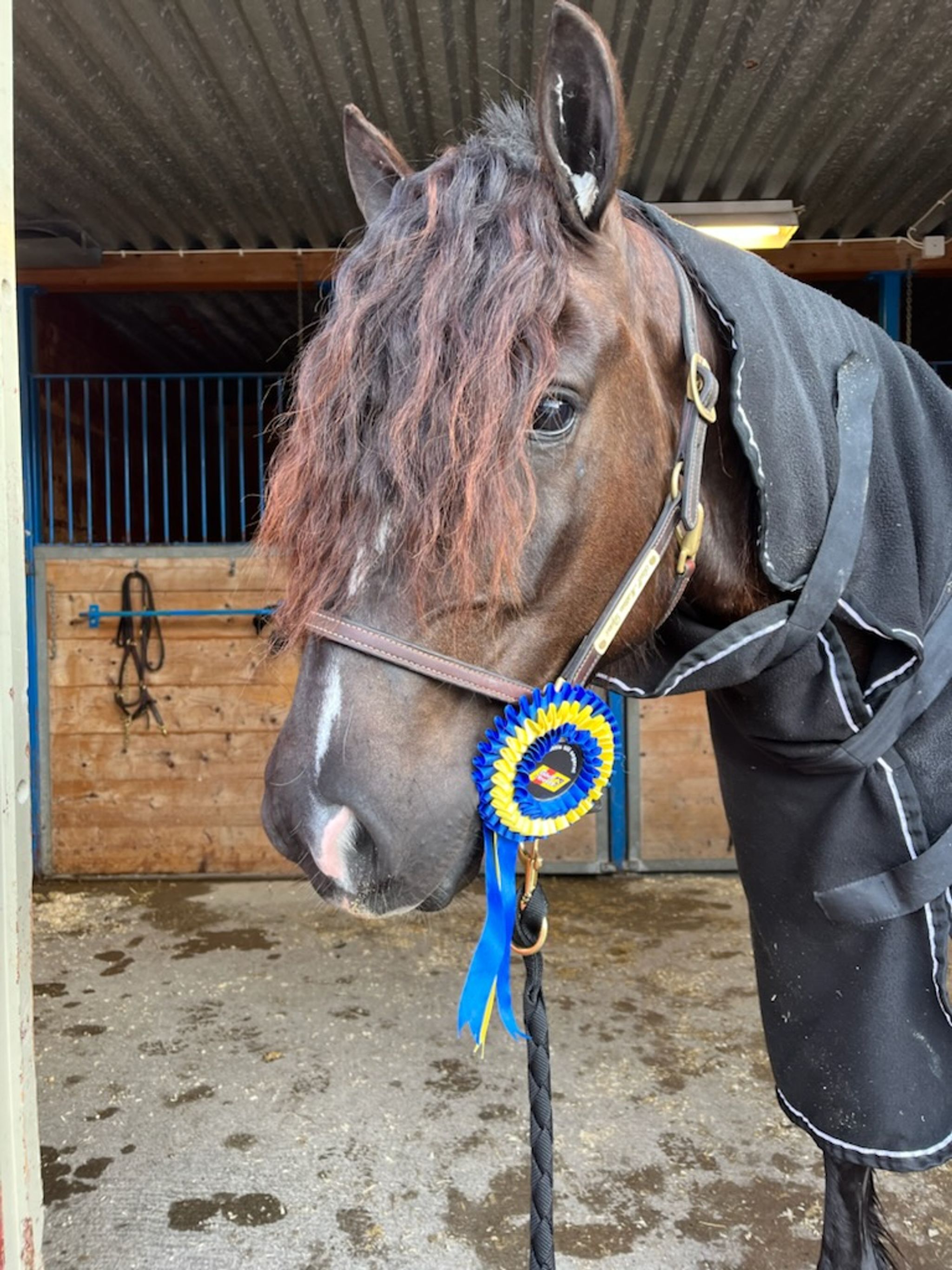 780A52B3-2EC7-4FFD-B515-8495B03412D0