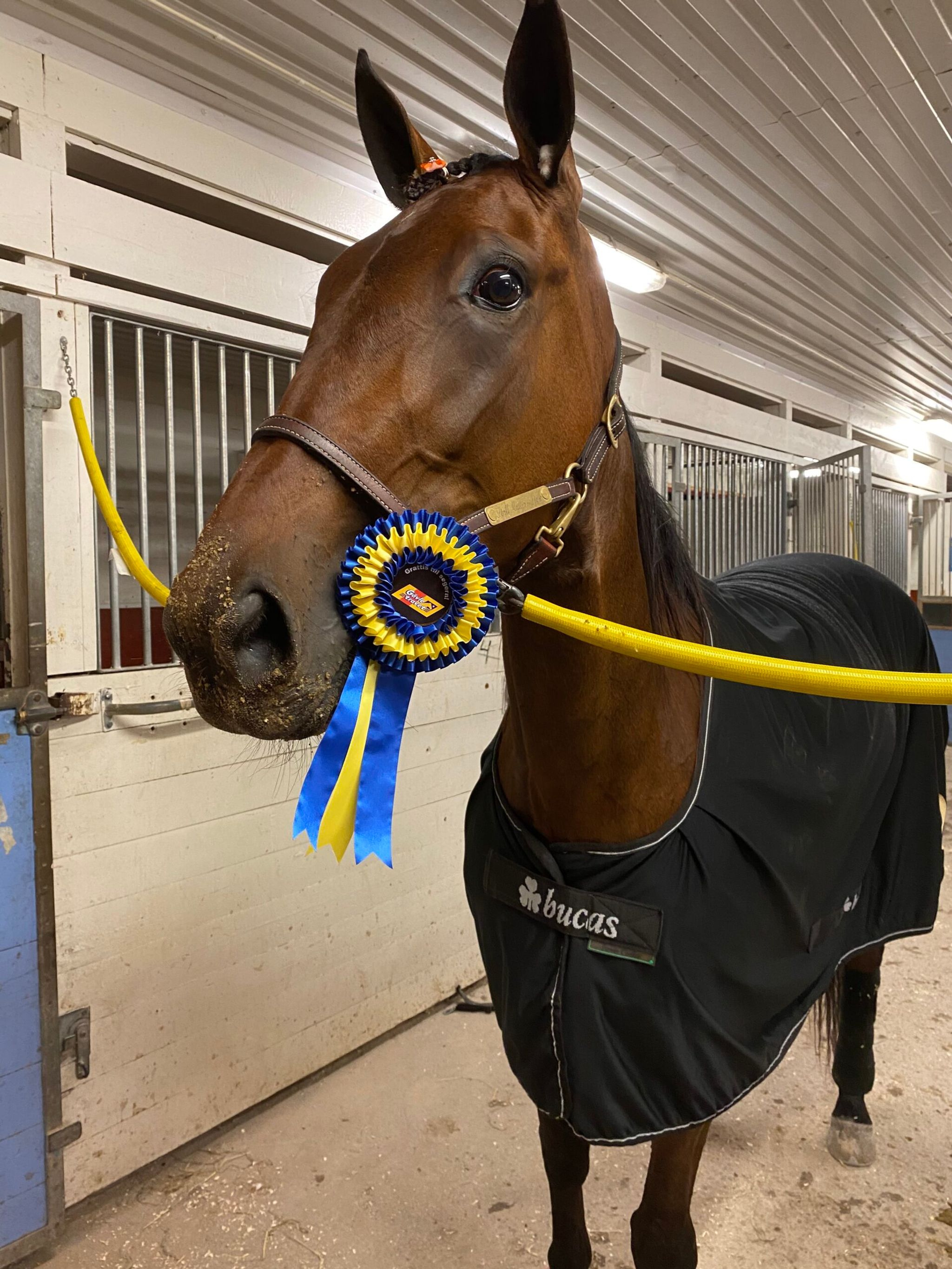 3374DA72-E7D4-41D0-88B4-3153DFACBA8F