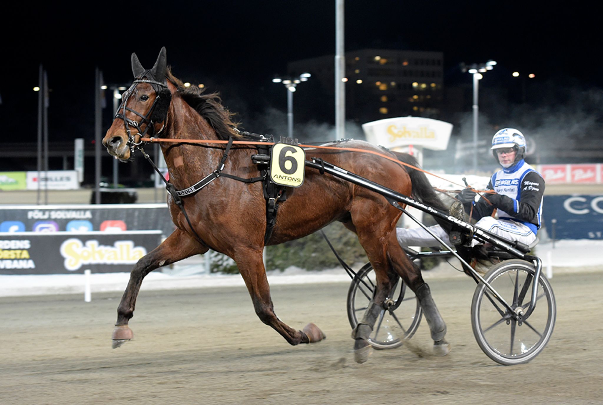 Carl Halbak segerdefilerar 2.jpg