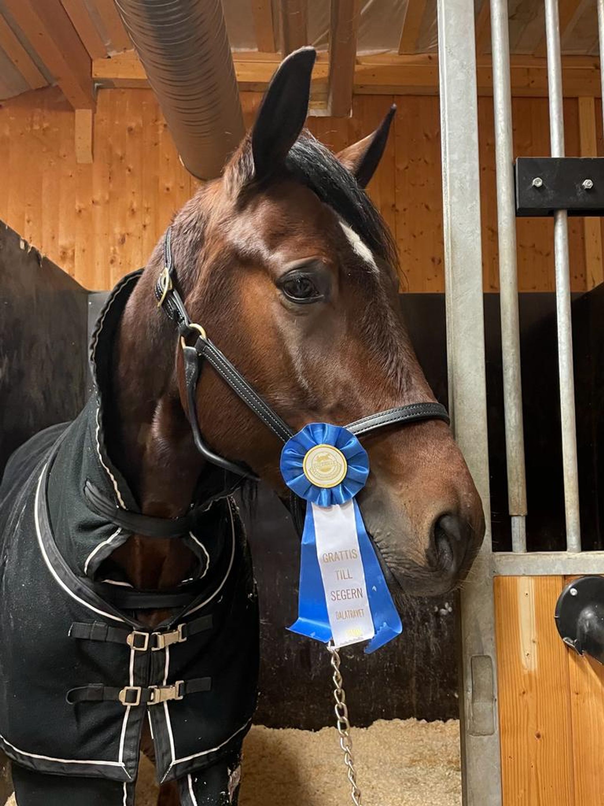 0E88A9C3-2D22-4F9D-A042-7DBF43F49227