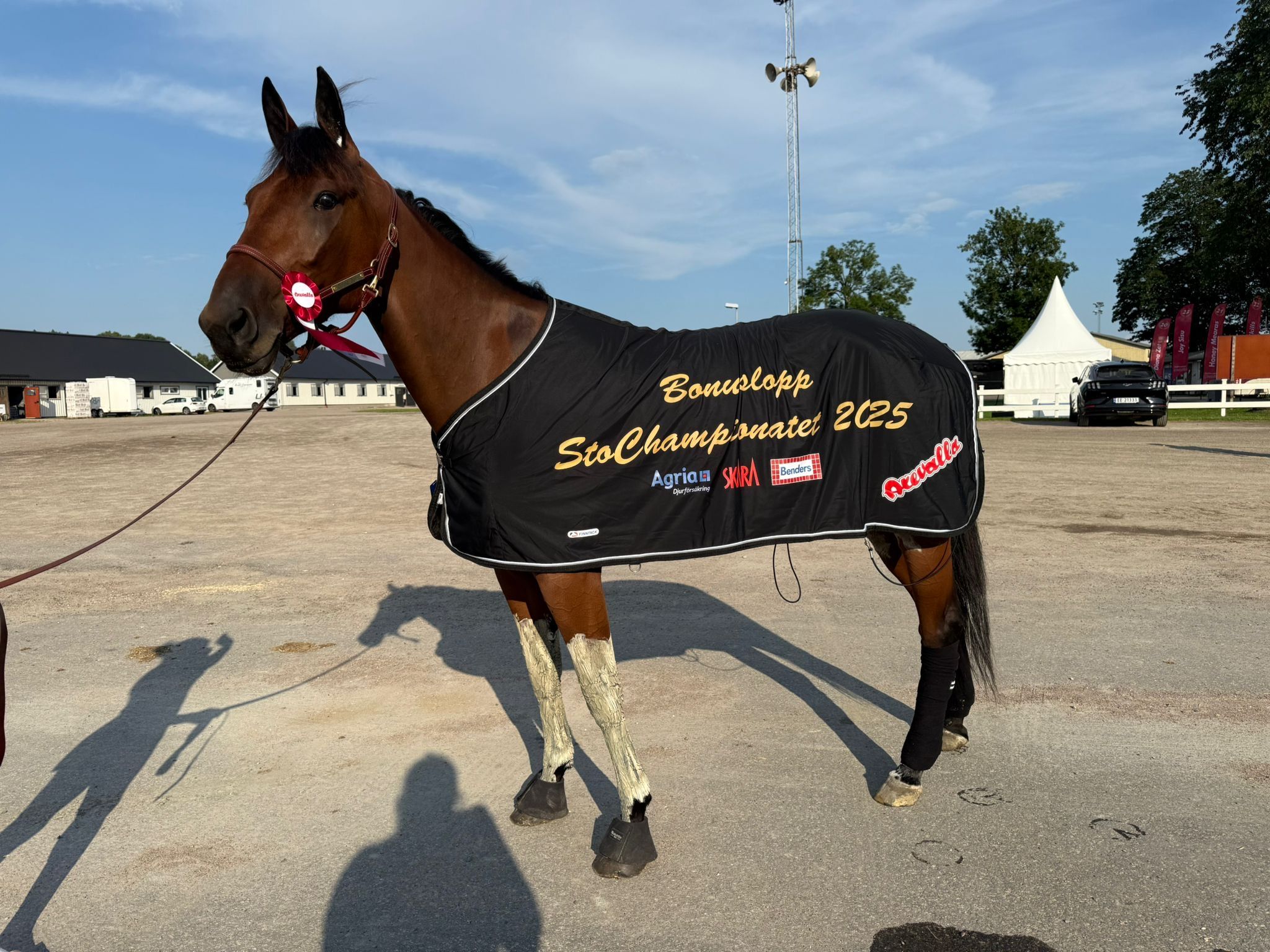 6152065f-3084-4e9d-b00d-27ec70e43367