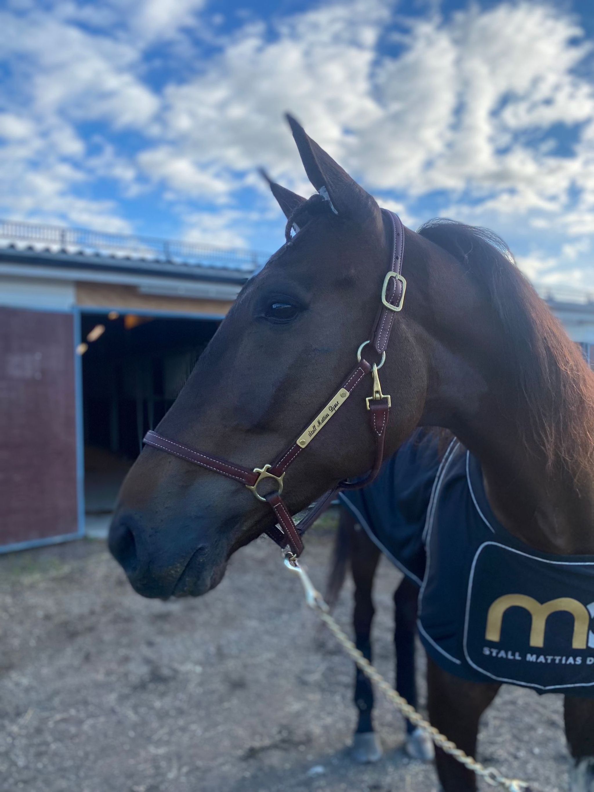 EAF51275-F9AE-40DC-99ED-01B09028C518