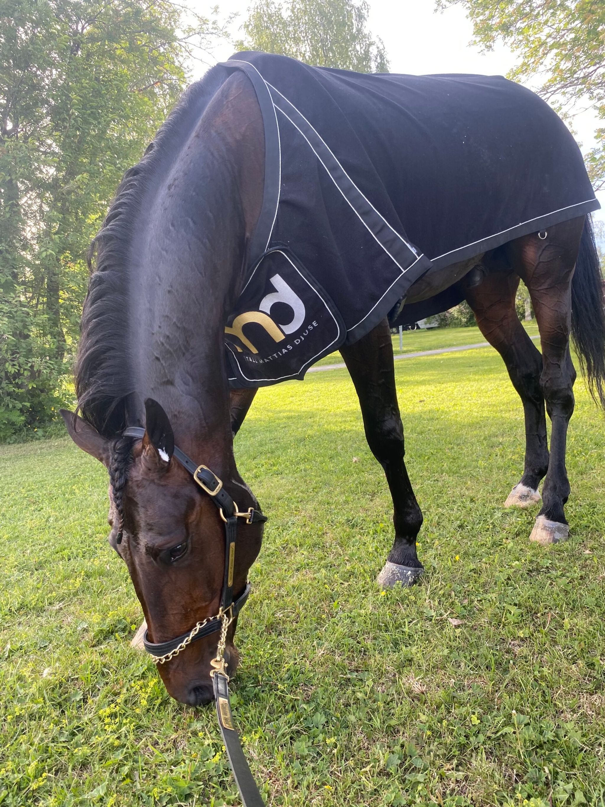 A2B734D3-F319-44AF-8B11-8C02D4646C27