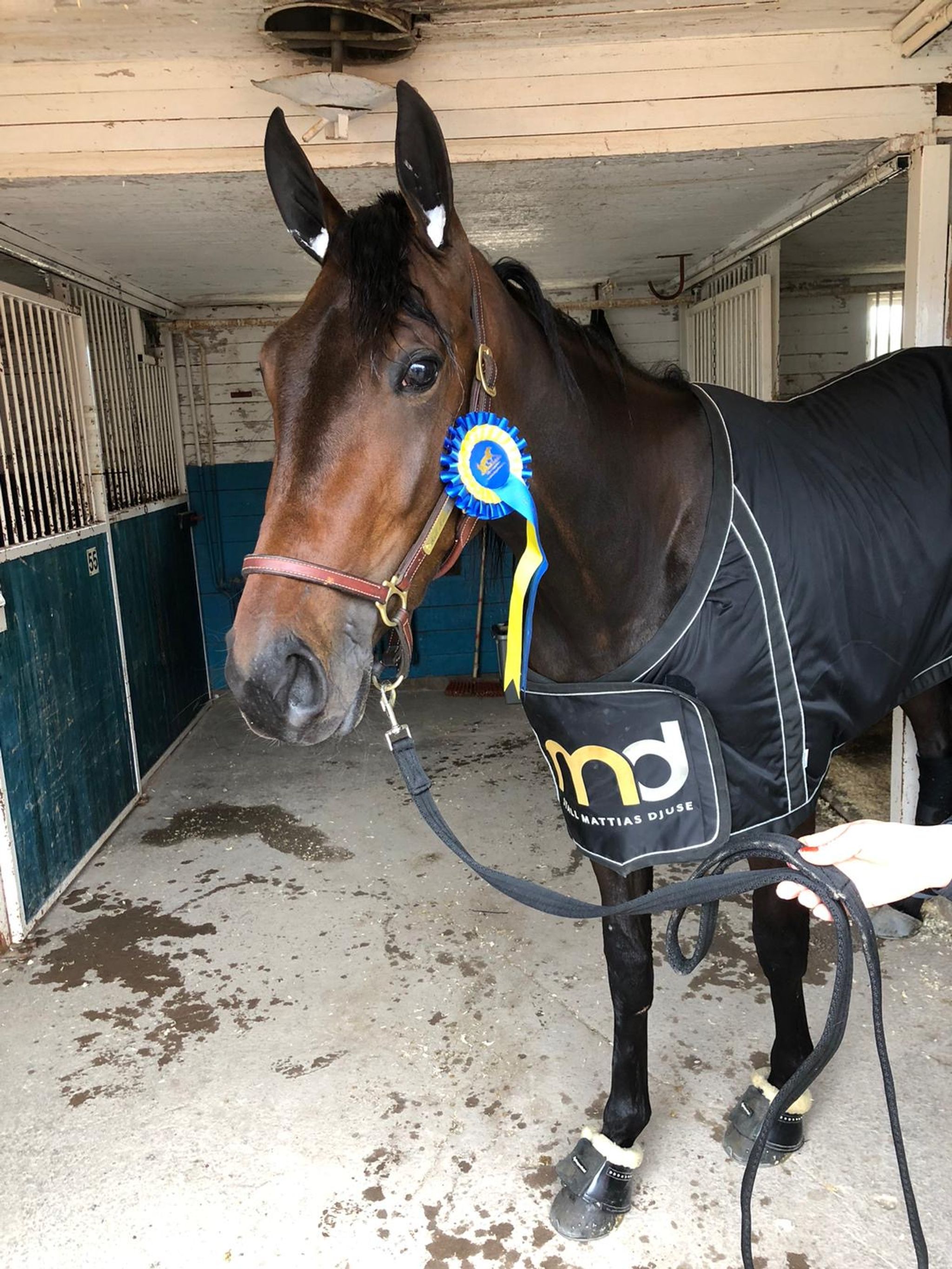 0f37f5b2-2fdb-48db-83a8-5aae16569097