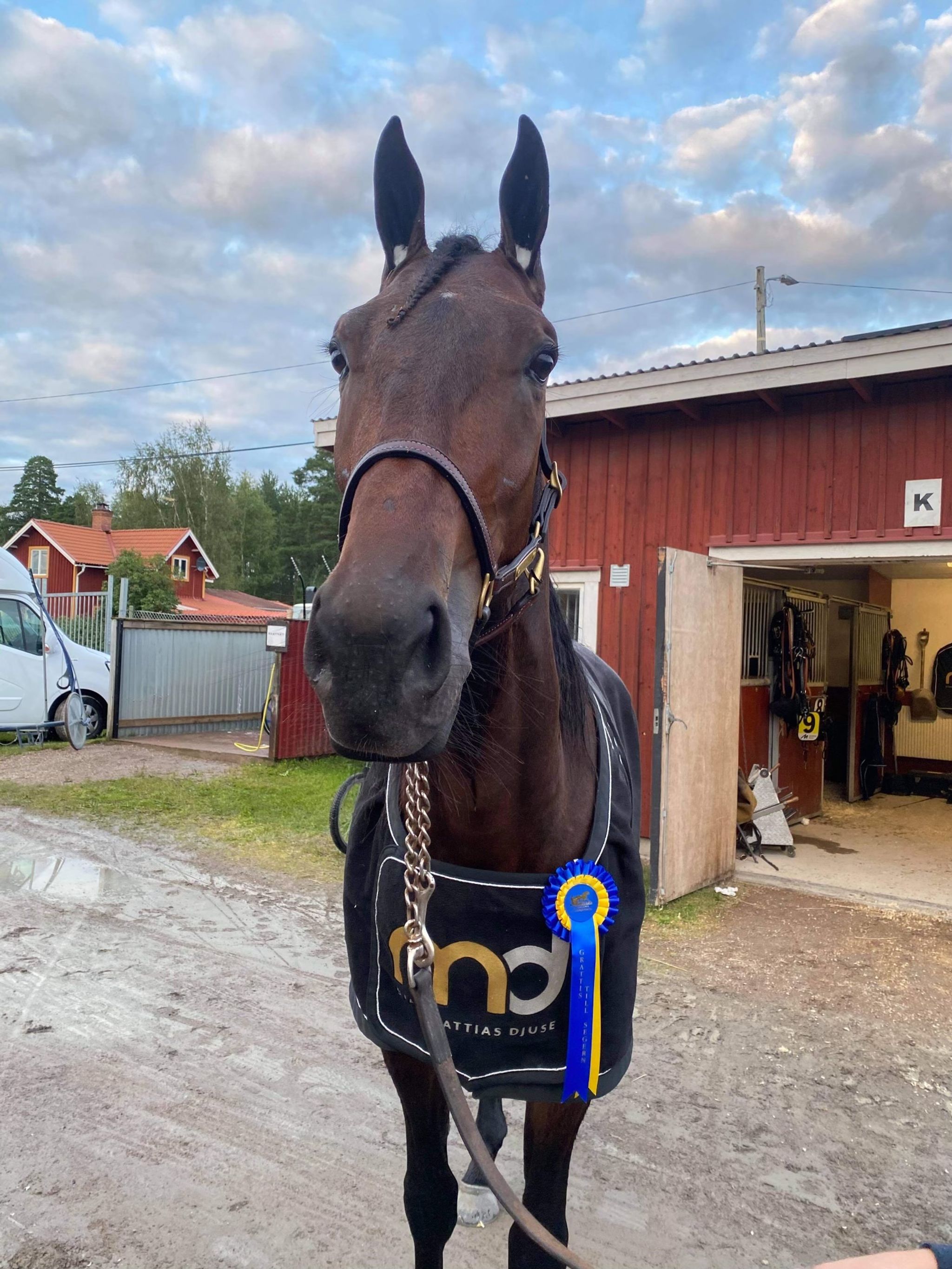 E0ACA1E8-C599-4A72-88EE-62F6FA6C9793