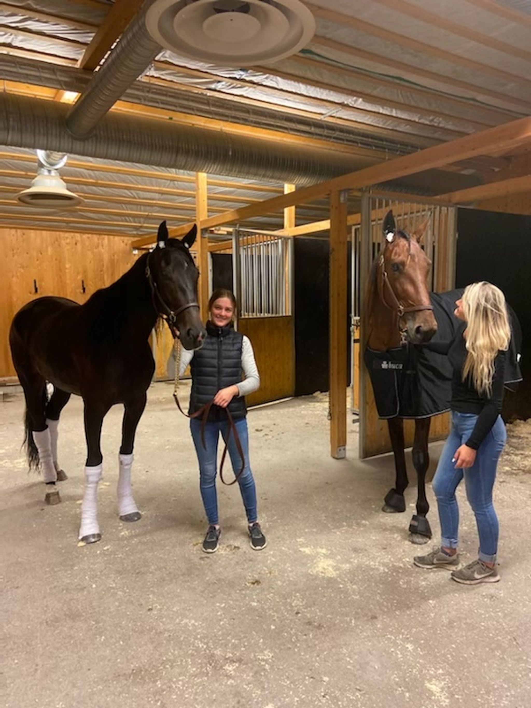 7388DB69-72B0-407F-AB4F-28CF468B8359