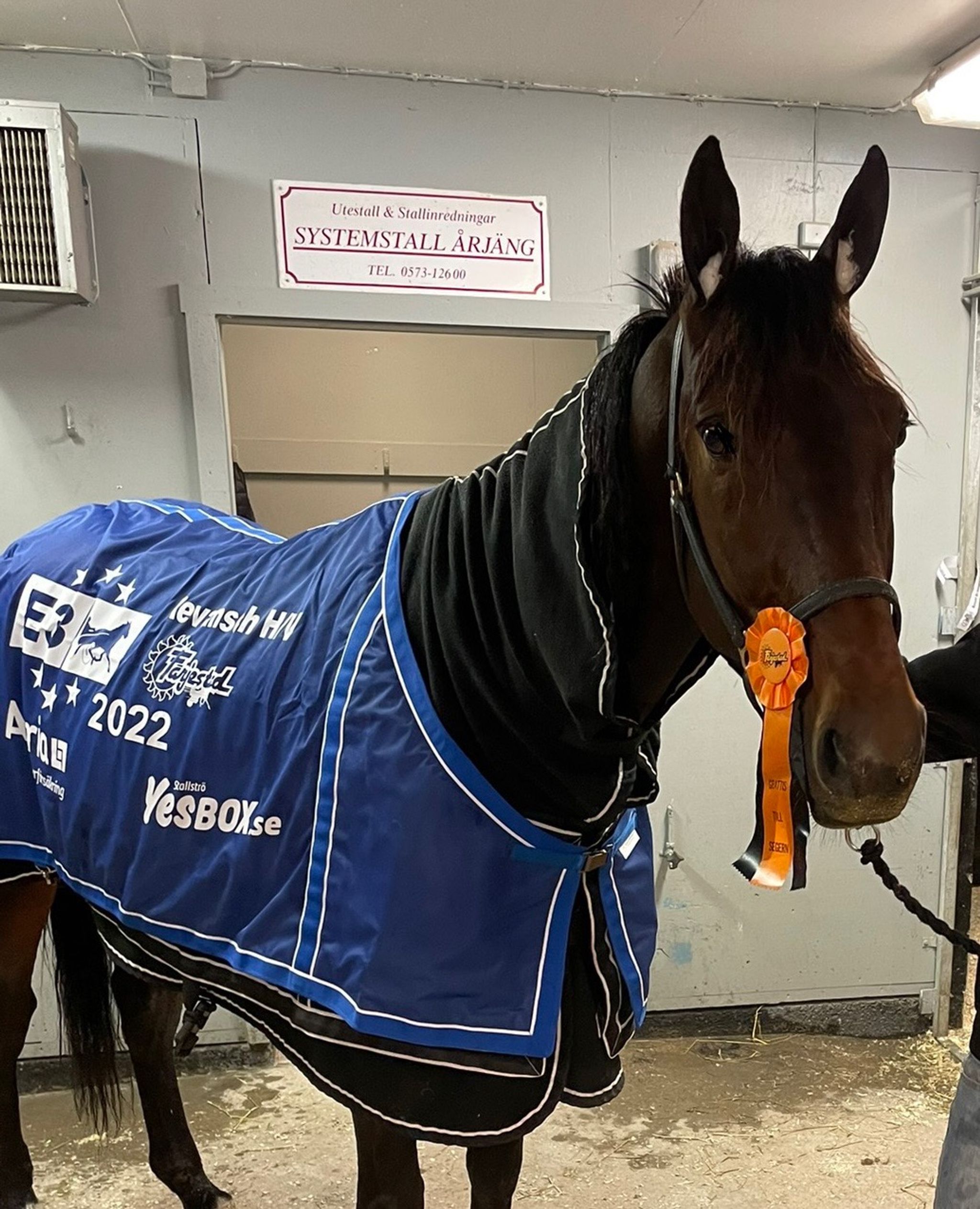 7348BBA9-5E53-4025-88E9-274E5E4023C2