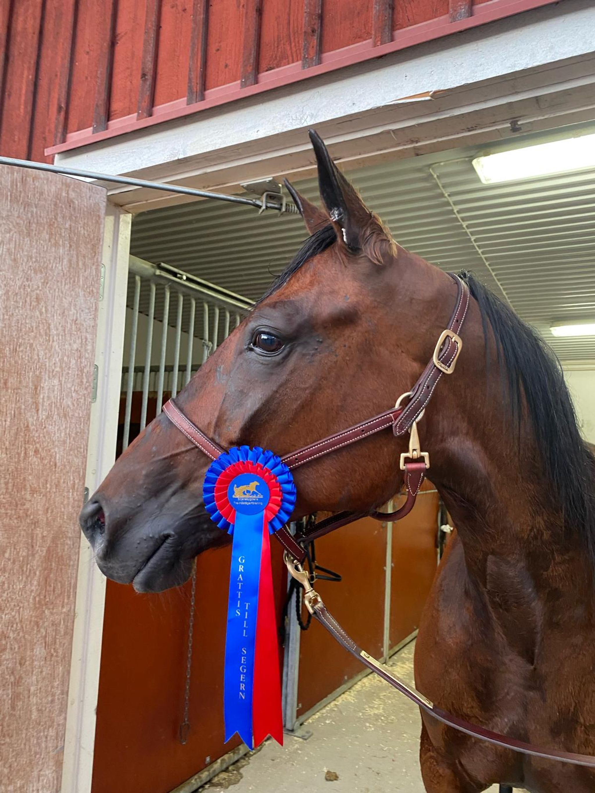 44CC3D77-1D12-488D-9BAA-BAAB42DAA847