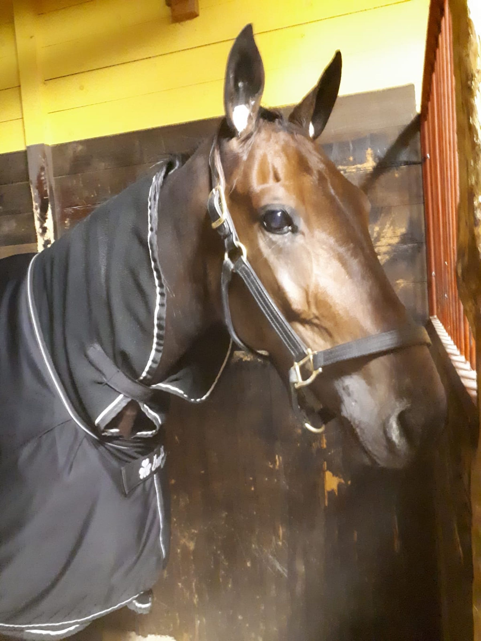 66A3415D-6418-4F70-B8D2-215B45529768