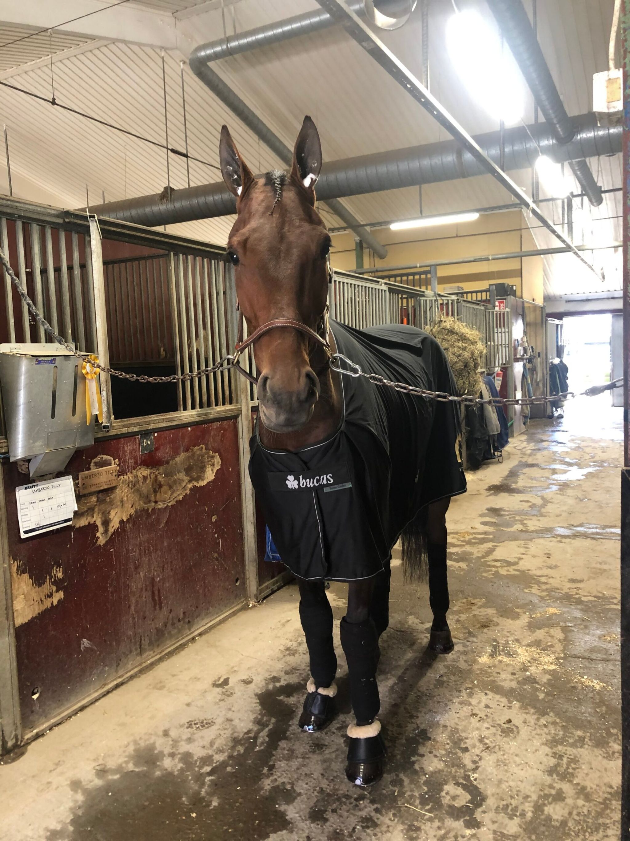 9976D838-BF62-491E-B584-E3A21584DD0F