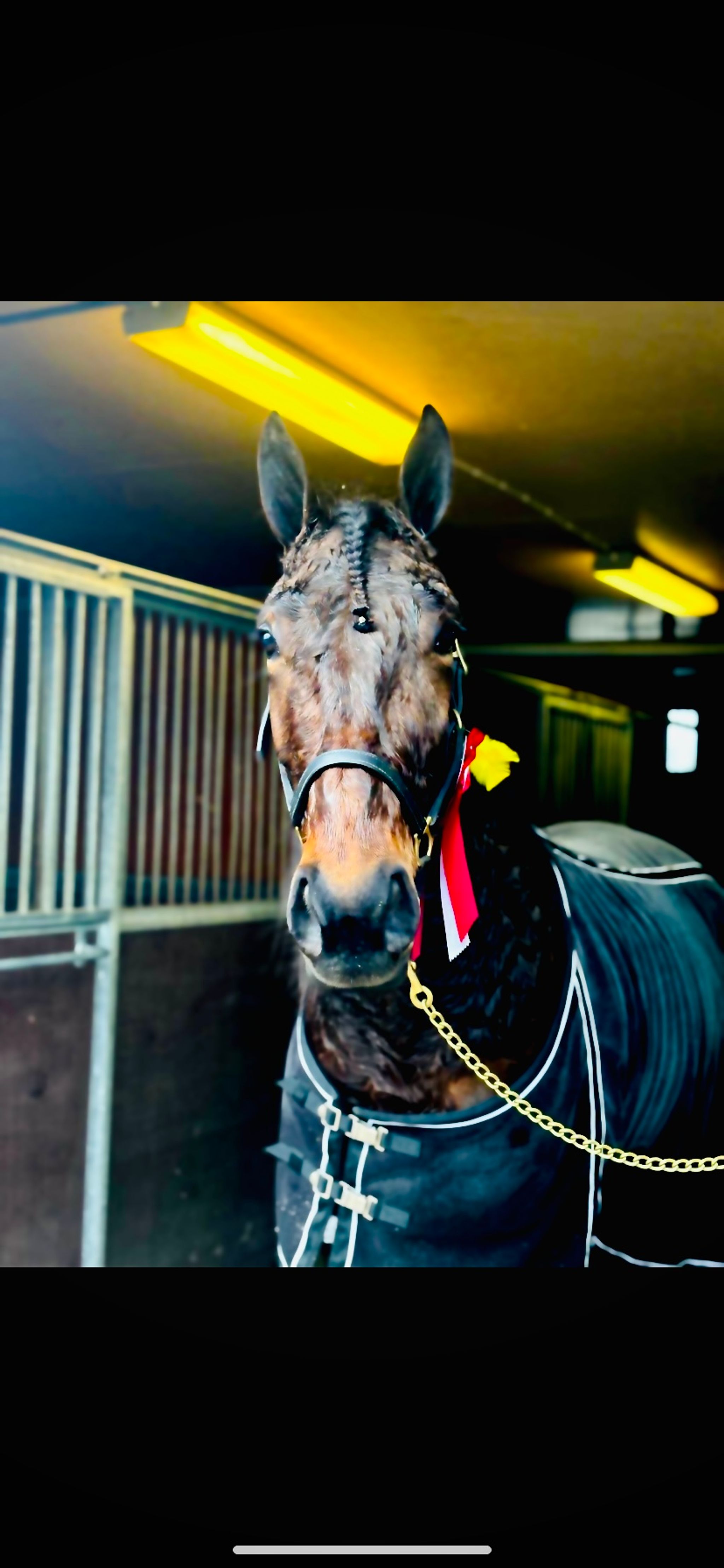 1C97EDD4-E36E-42A7-BC7E-ED0CF16370BA