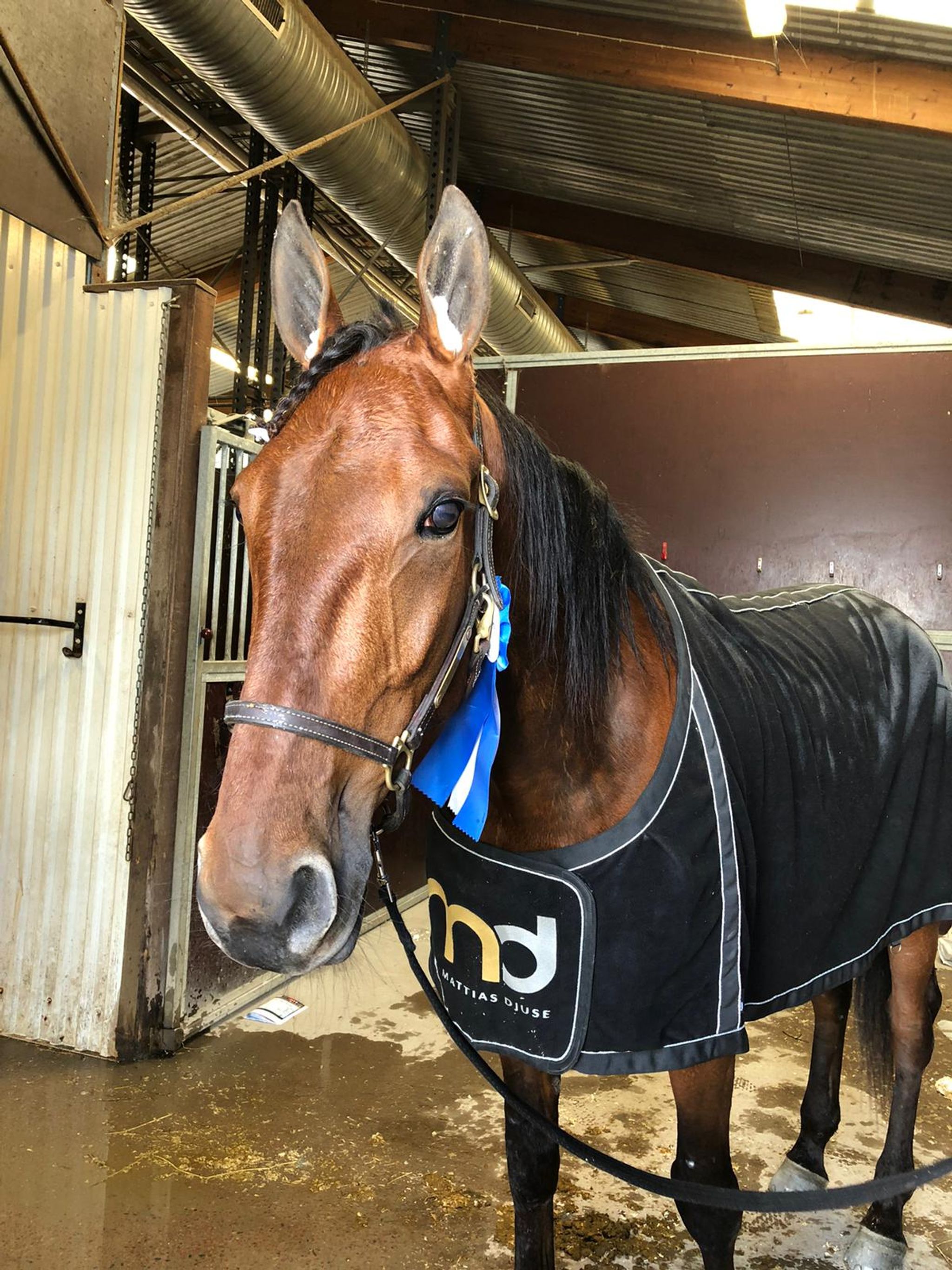 C8A89F20-2C3A-4B2D-B139-47300BE65A06