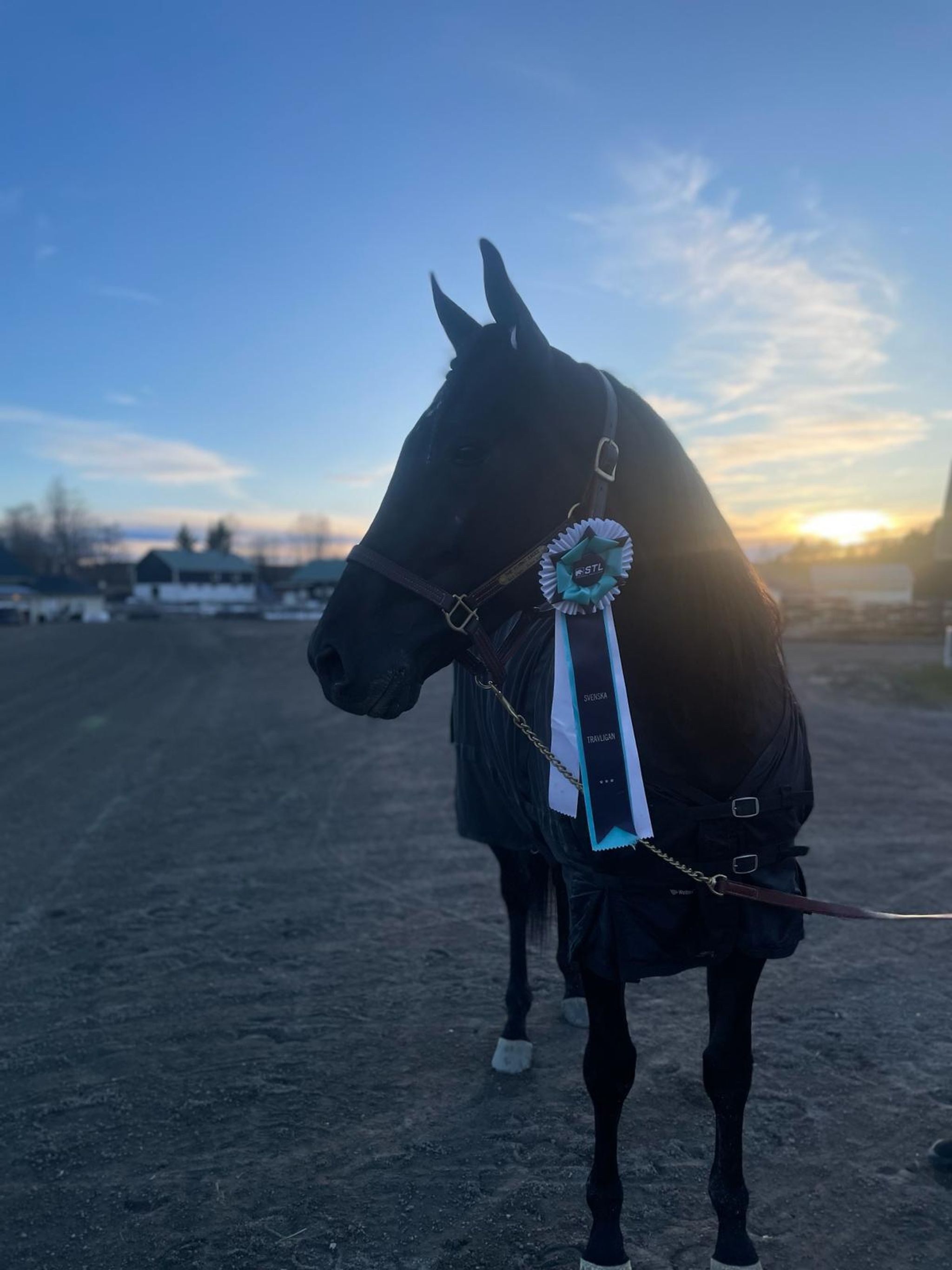 D892FAA7-A383-42D2-9C57-780FA08D56A7