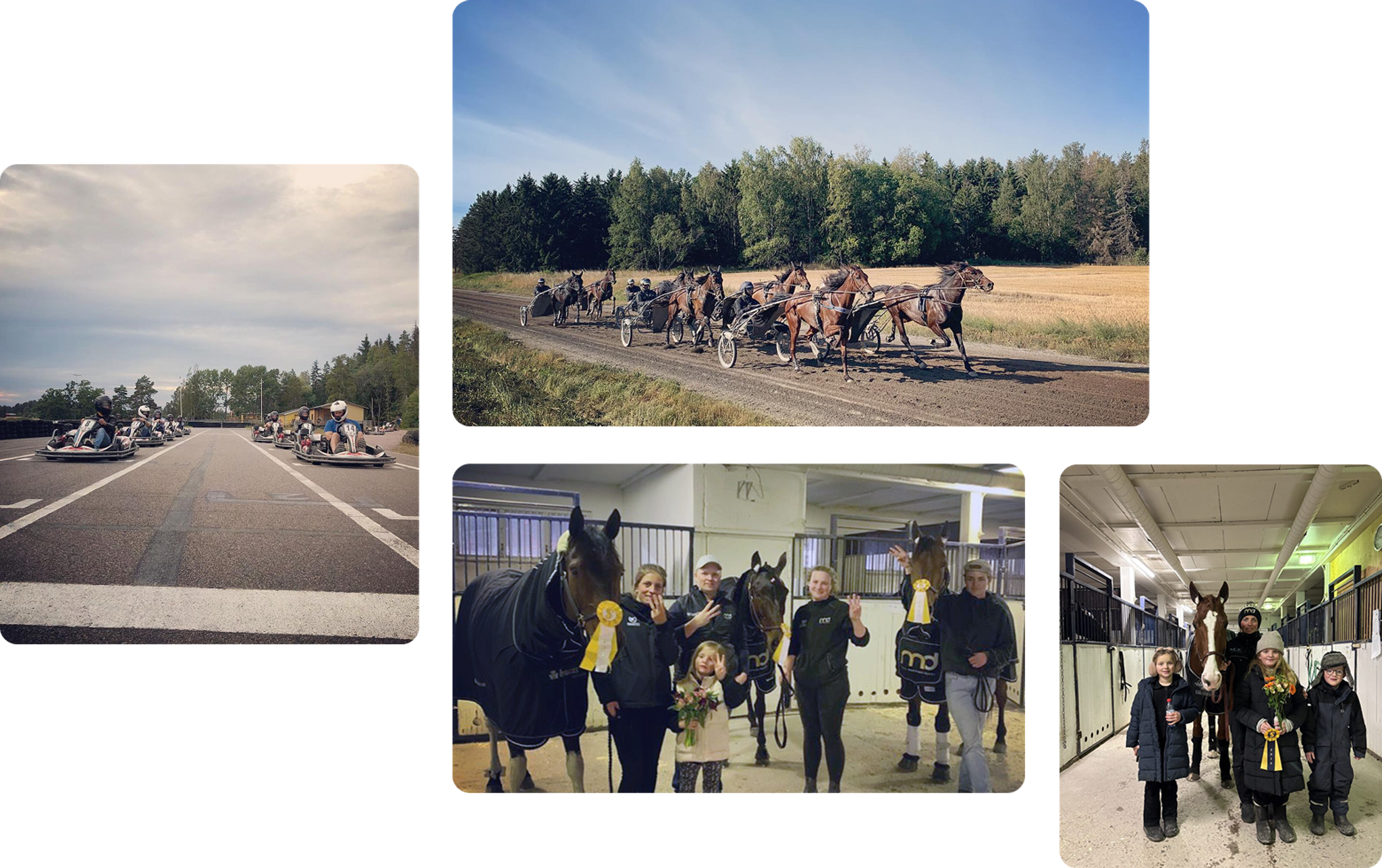 Vill du också ha värdens roligaste jobb? 🐴