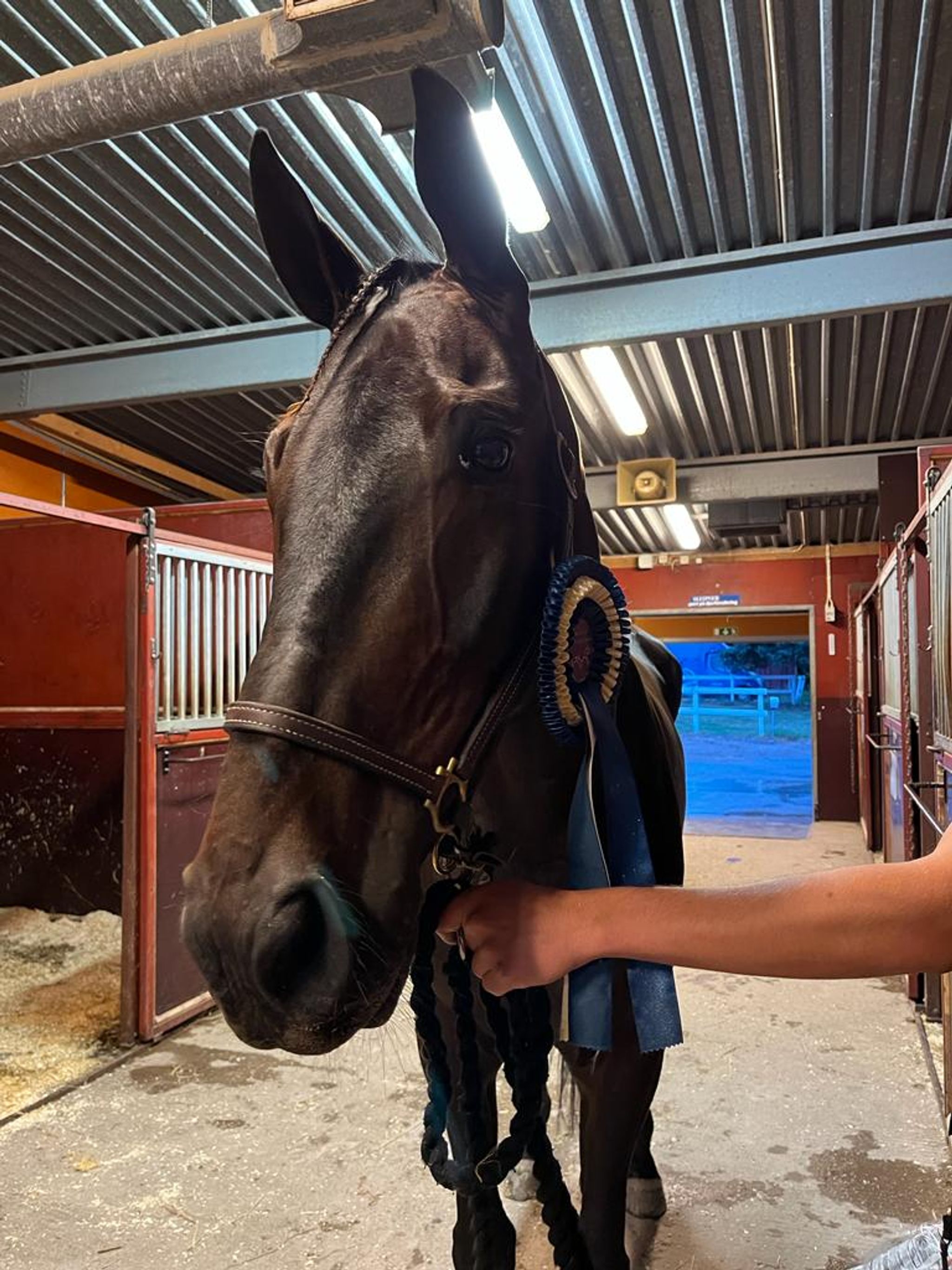 0A9DC4DD-EF9E-402C-AC25-6224FF59BFB0