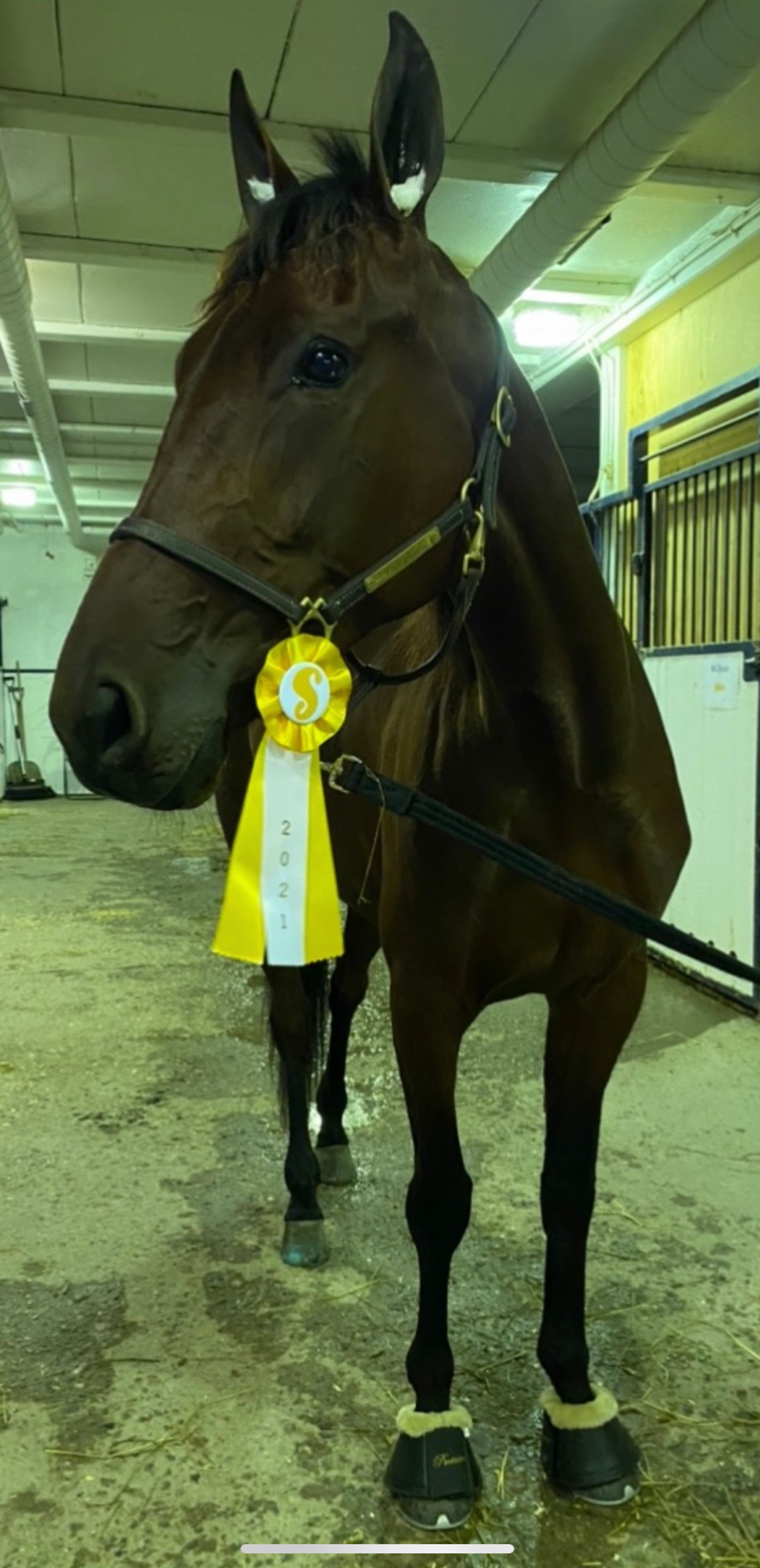 5F8DE257-4E41-4955-AE6C-7B5F1DF7DB6C