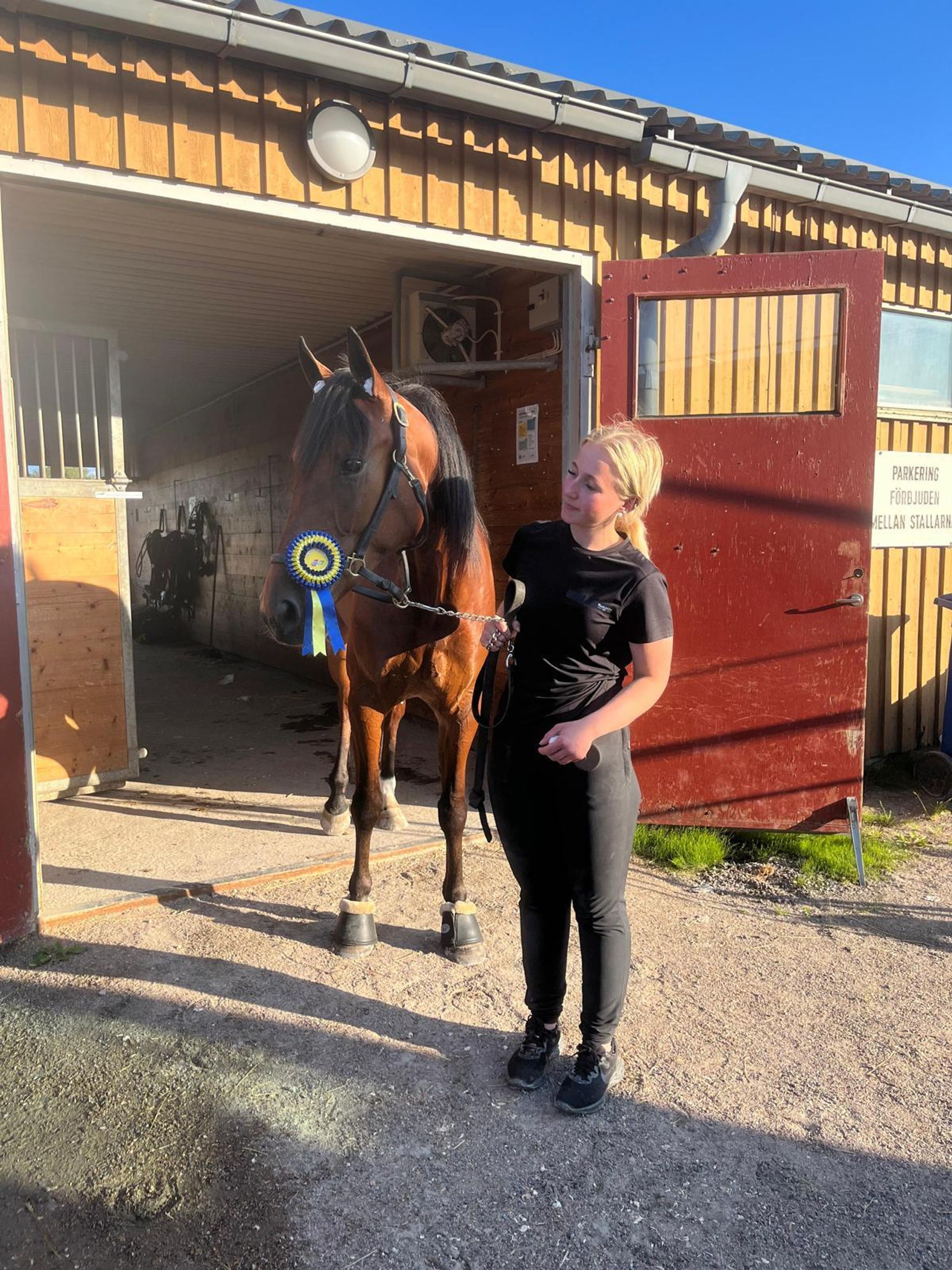 1307F50C-9650-4493-8198-F2AF6FA4020A