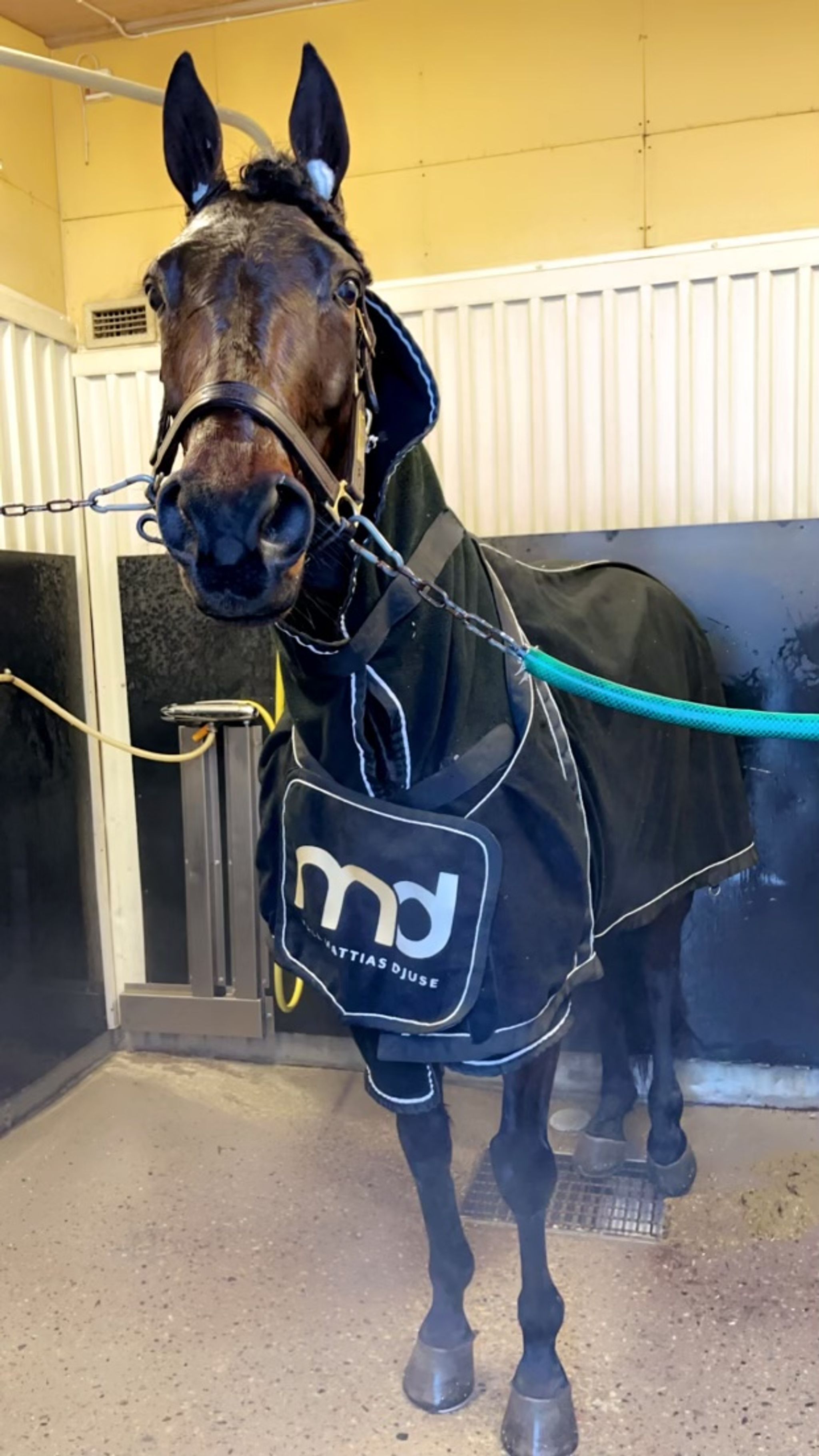 2581051F-6754-4992-920B-31E606EDAFB2