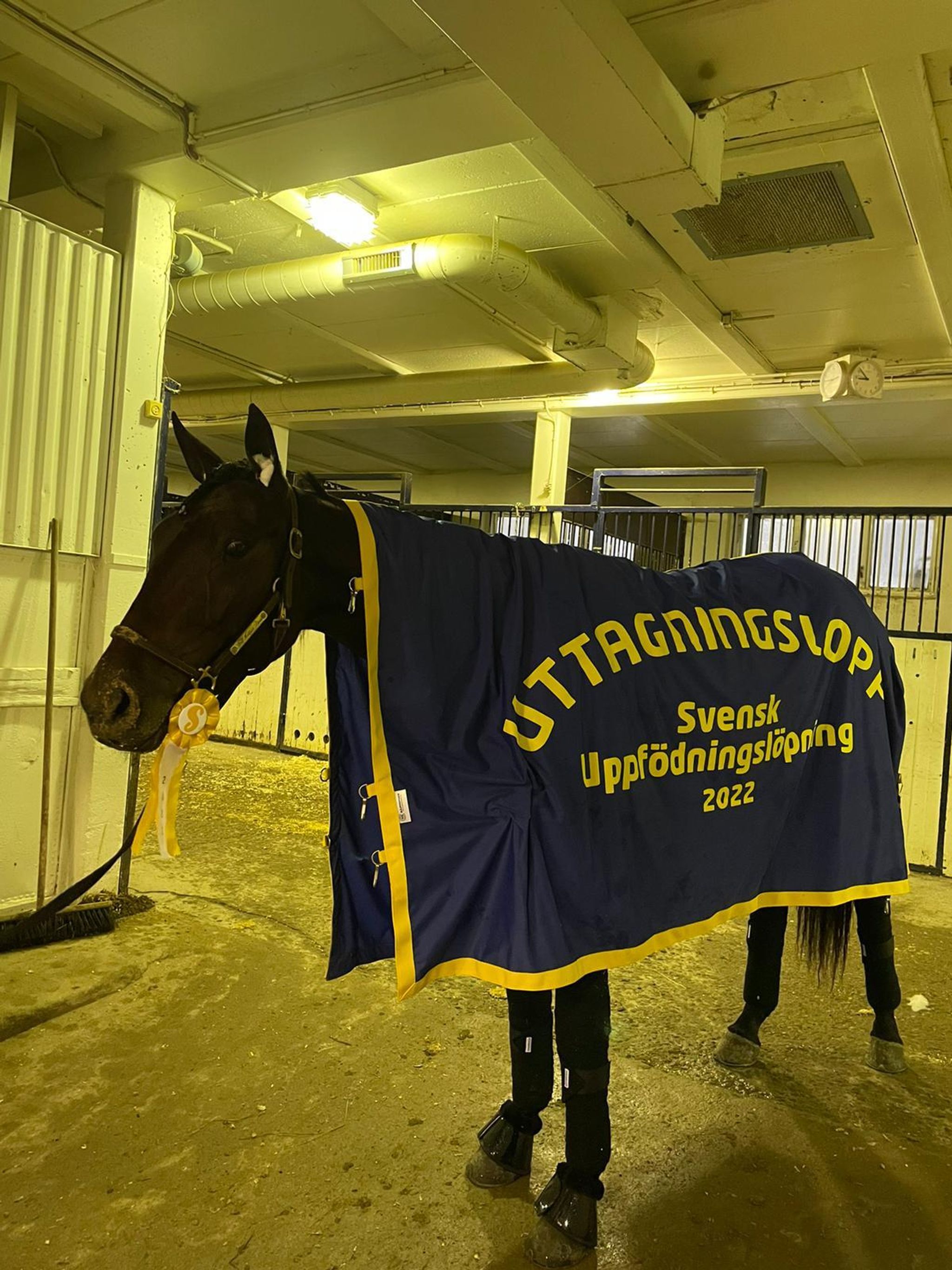 A47D511C-0245-4F41-A0CD-39D4813E7577