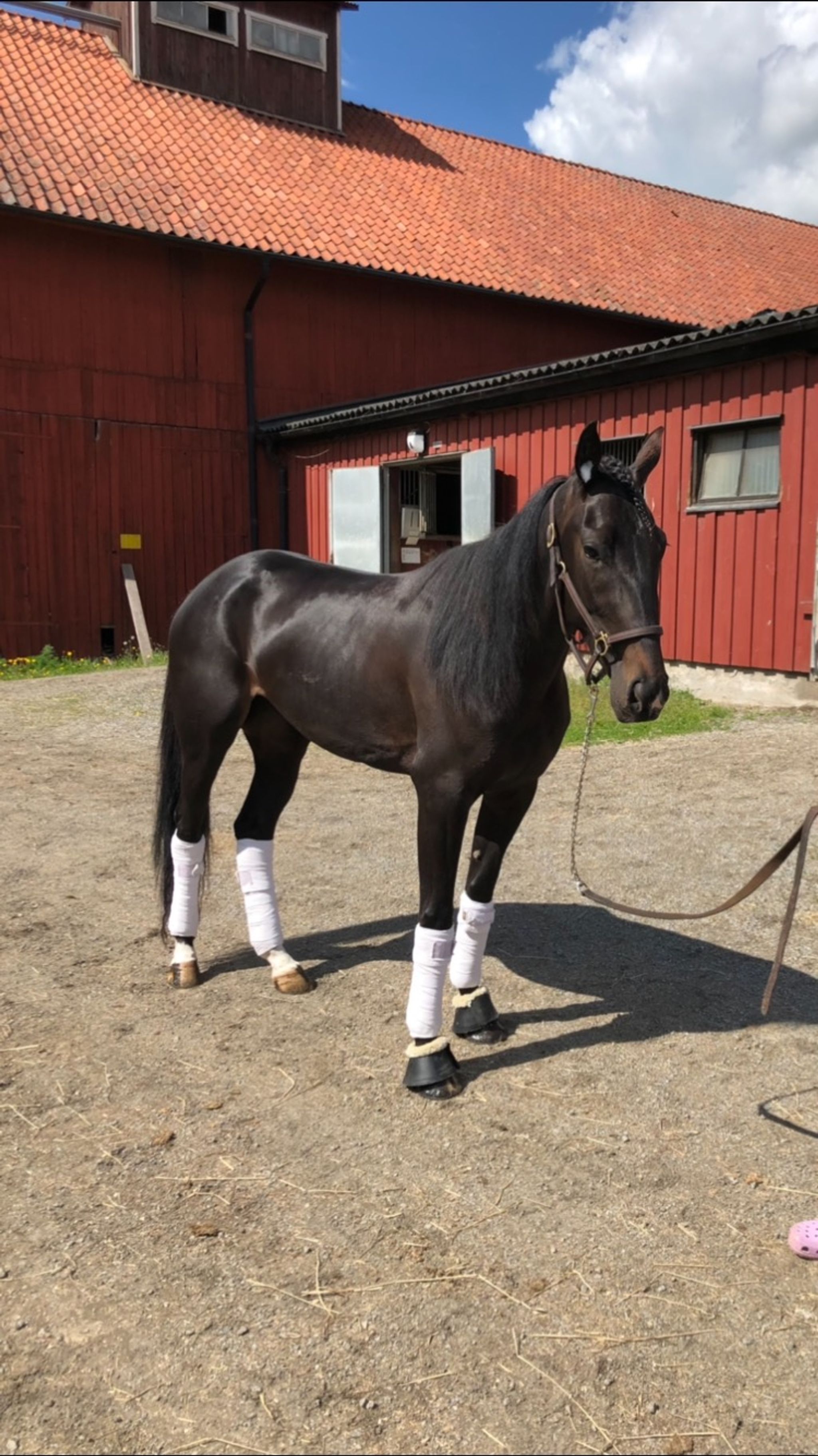 1217CA3D-AD2E-466C-86E2-9239A9EED544