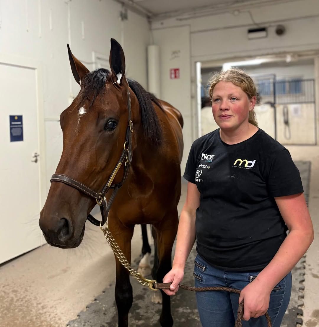 De blev en hattrick för stallet 🥇🥇🥇 två segrar på Solvalla & en seger i Bollnäs. Com Best vann sitt försök till Breeders Crown på grymma tiden 12,3 2140 i sin blott 5:e start ⭐️skötare Camilla 👏 Iron Dice tog sin 2:a raka seger på ett imponerande sätt 🥇💪 skötare Arnold 👏 Henessi Humble tog en stark seger efter att ha vandrat i 3:e spår sista 1200 m 🥇💪 skötare Elisa 👏